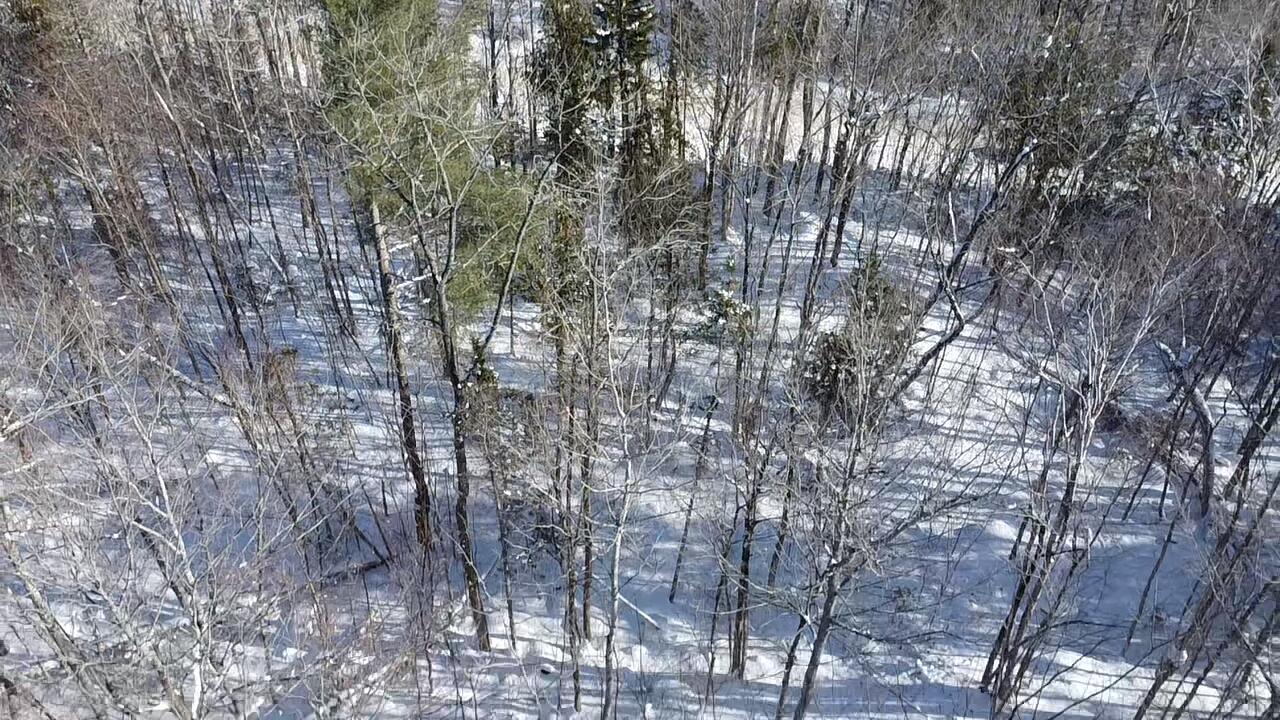 Lot 7 Curtis Farm Road Property Photo 13