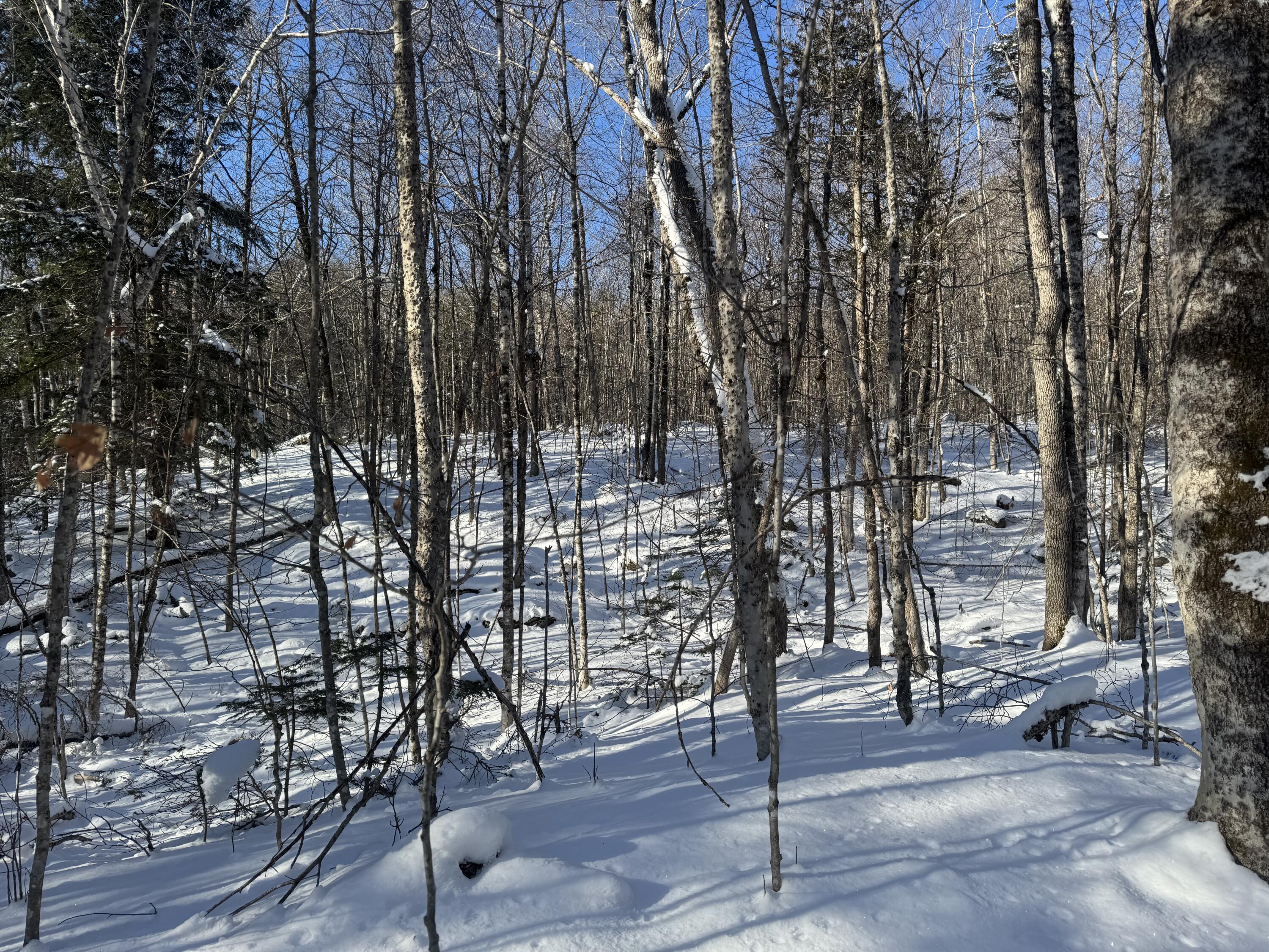 Lot 7 Curtis Farm Road Property Photo 15