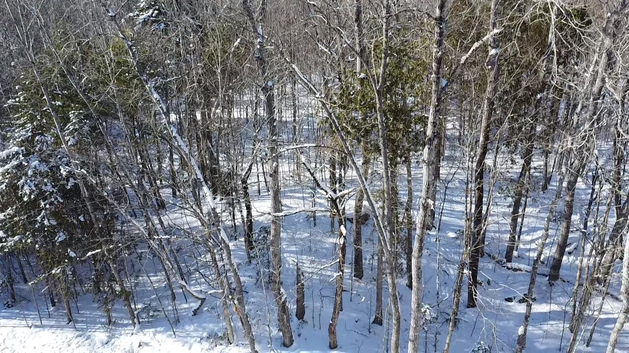 Lot 7 Curtis Farm Road Property Photo 16