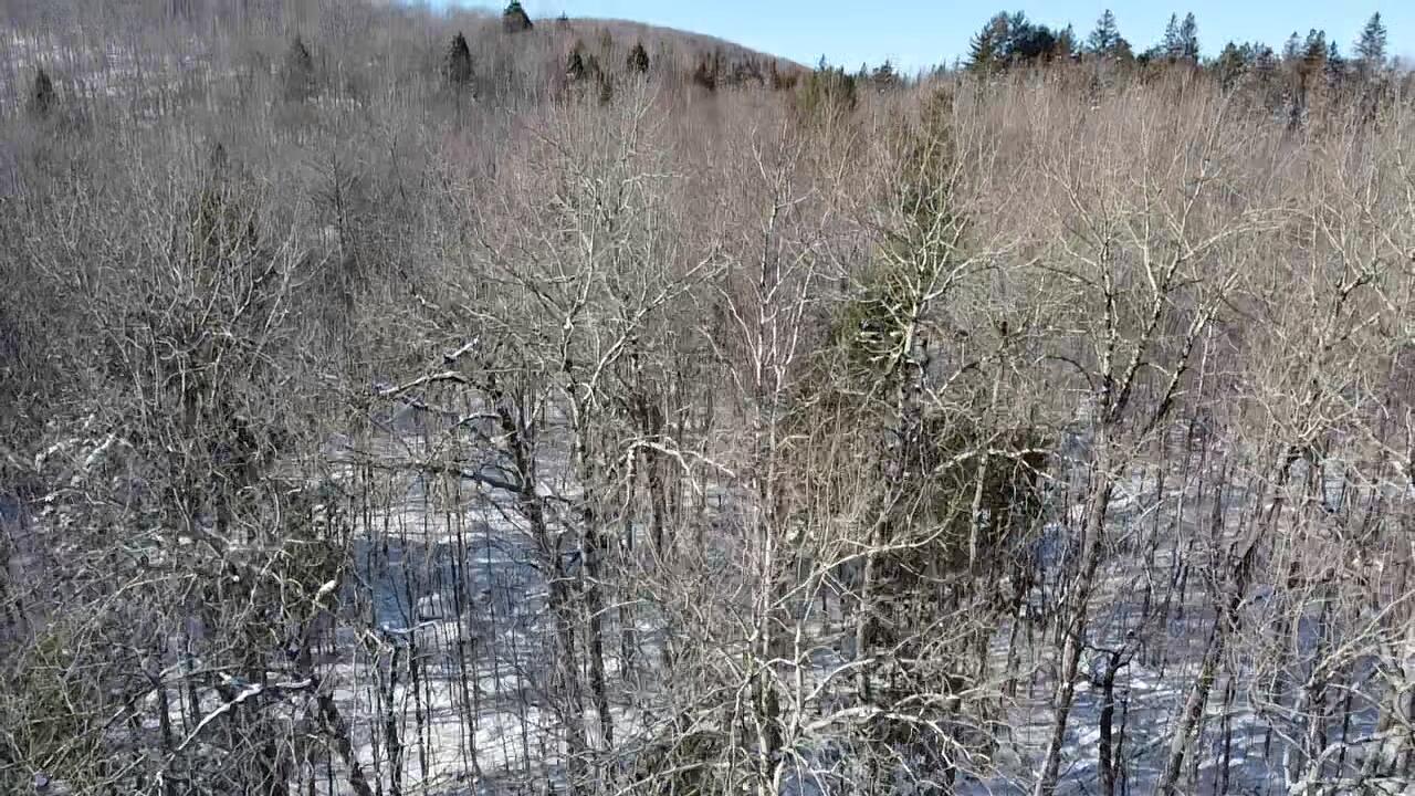 Lot 7 Curtis Farm Road Property Photo 17