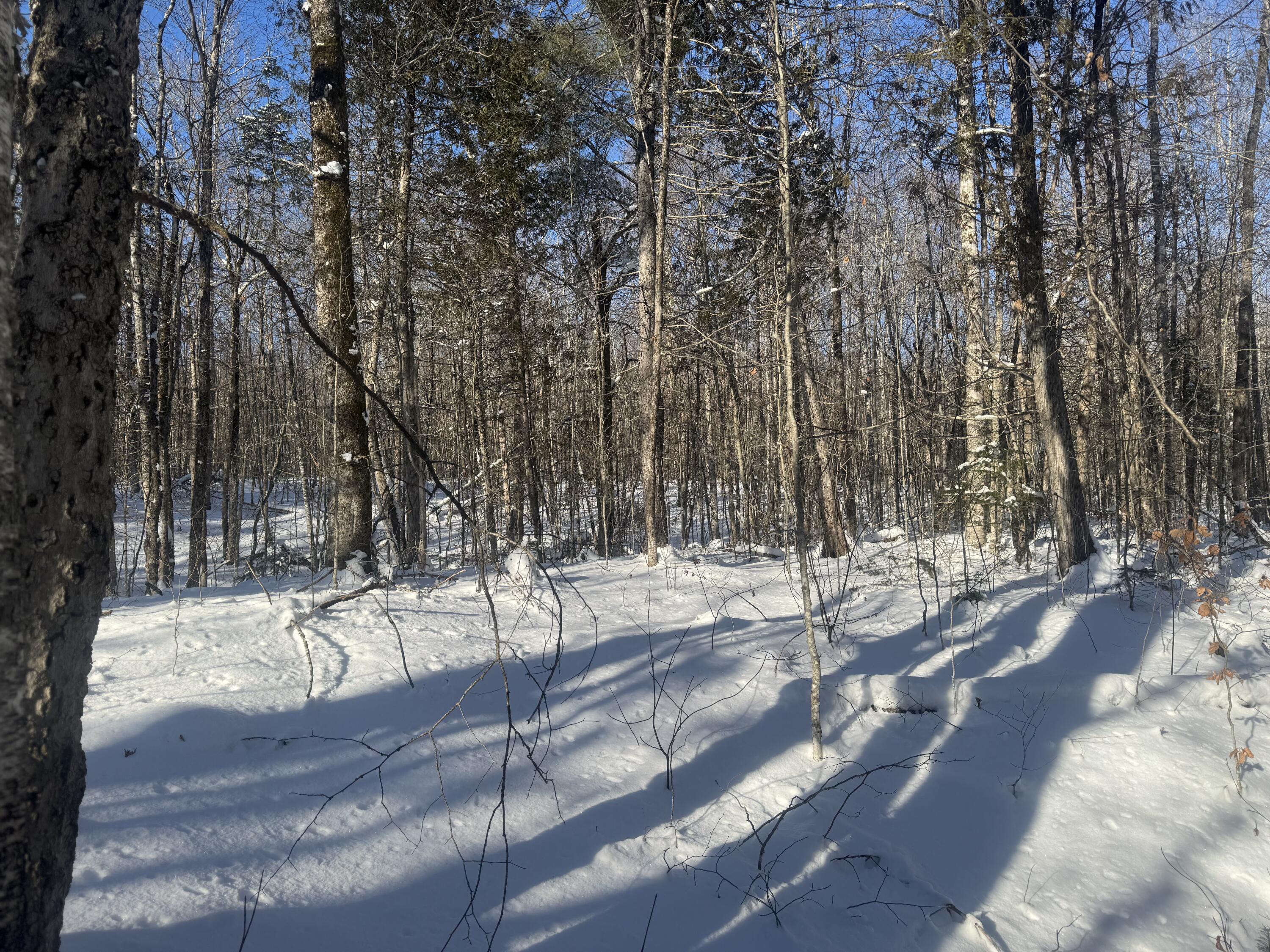 Lot 7 Curtis Farm Road Property Photo 18