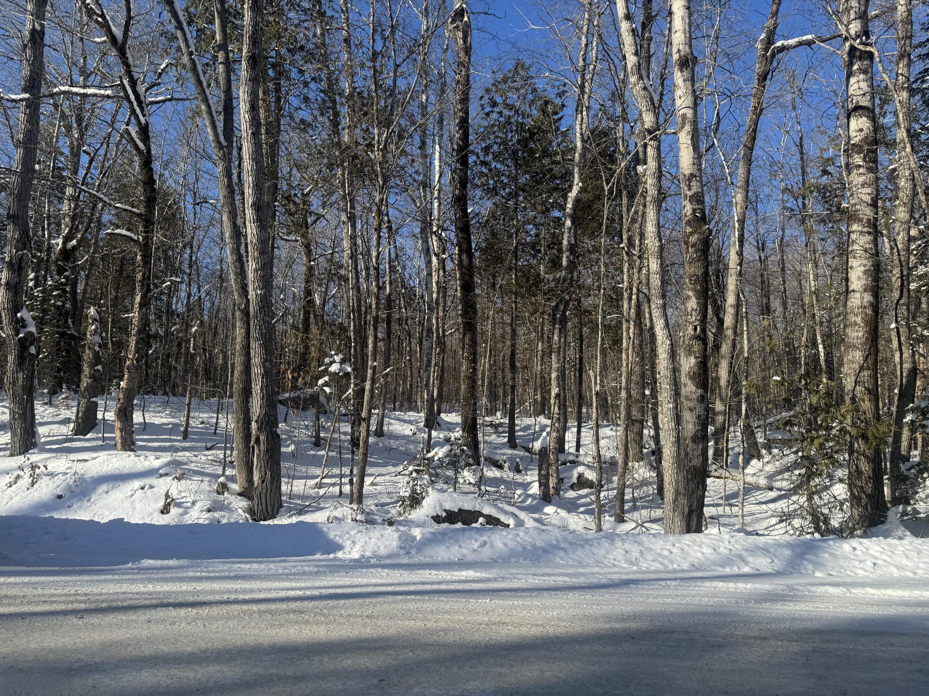 Lot 7 Curtis Farm Road Property Photo 19
