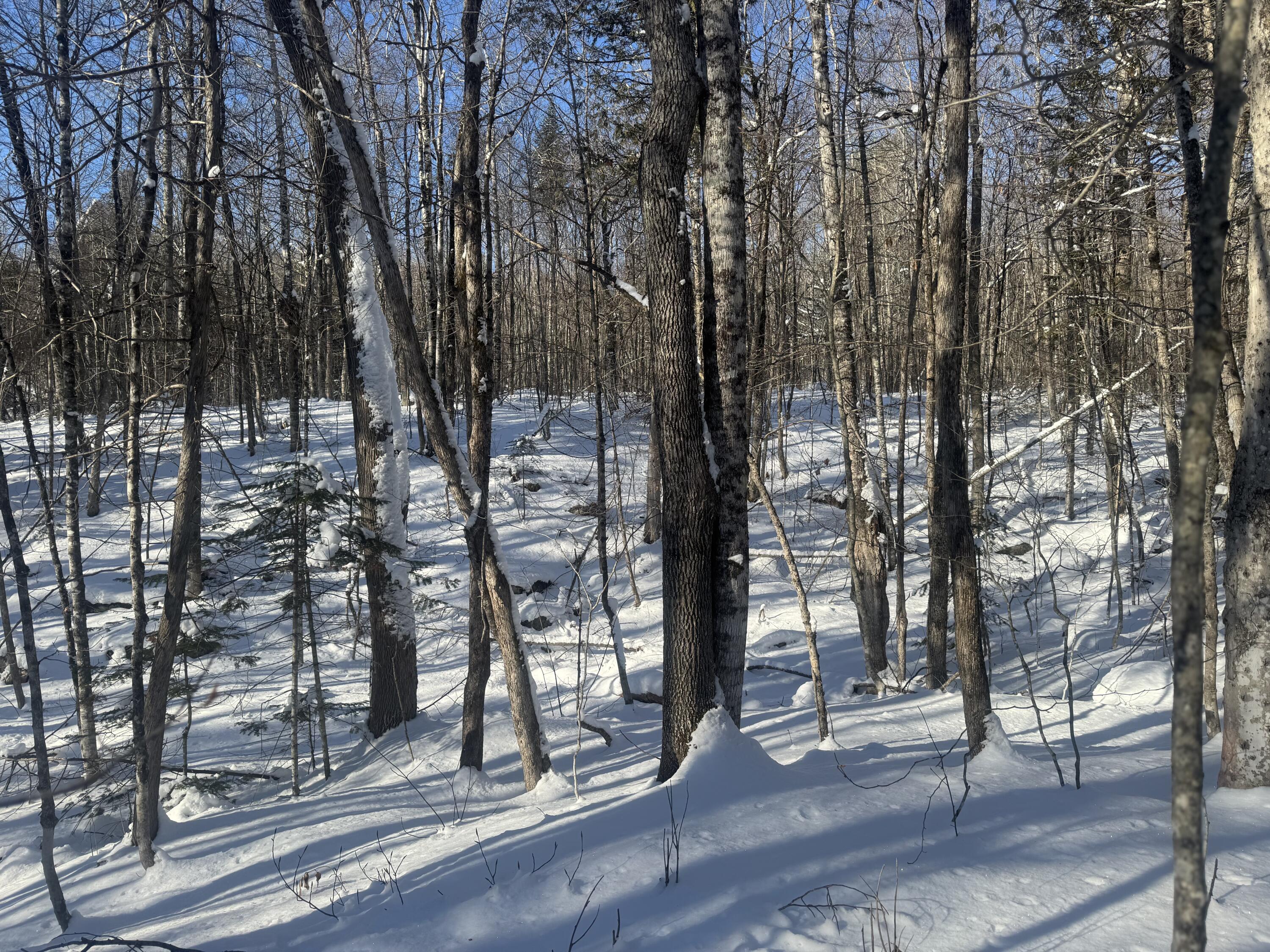Lot 7 Curtis Farm Road Property Photo 20