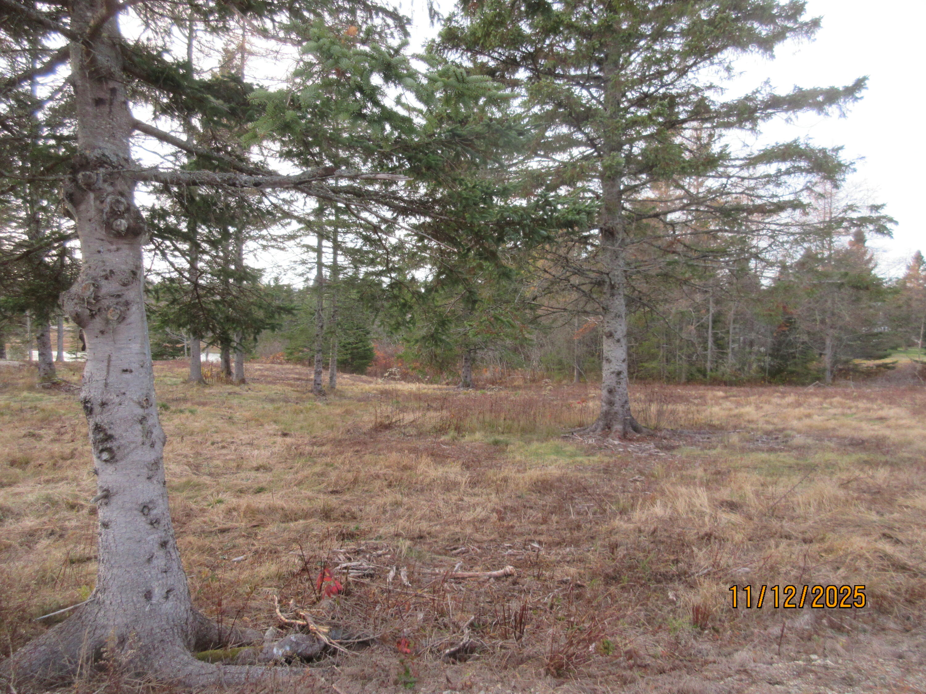 Lot 2 Smalls Point Road Property Photo 2