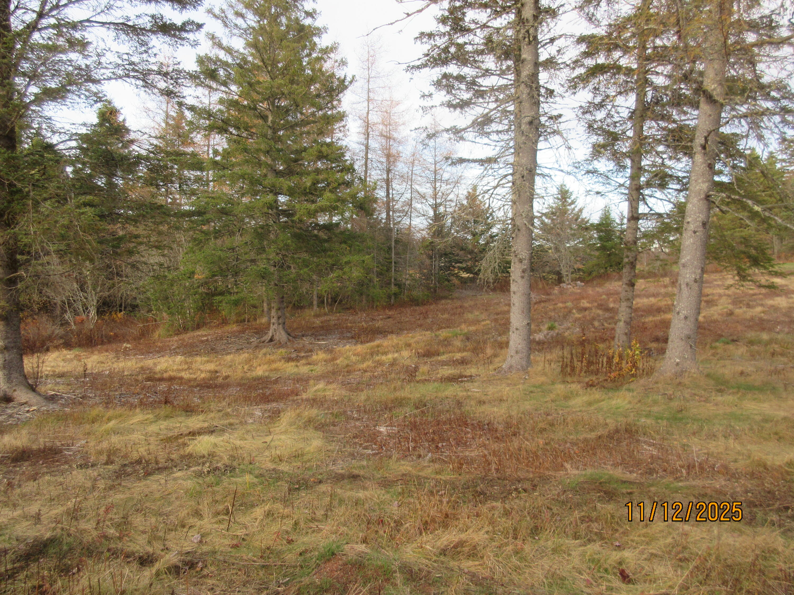 Lot 2 Smalls Point Road Property Photo 4