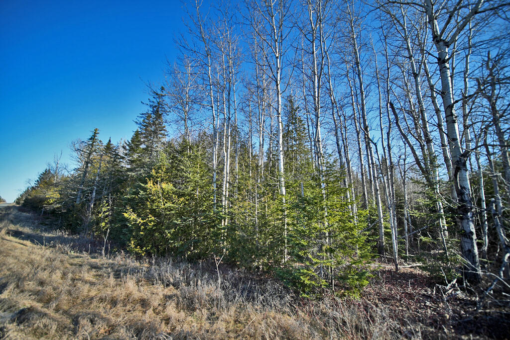 Lot 2-3 Us Rt 2a Road Property Photo 4