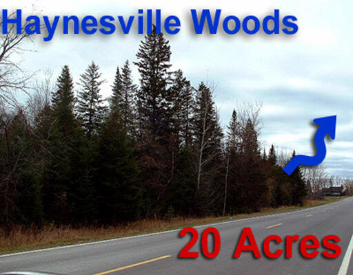 Lot 2-3 Us Rt 2a Road Property Photo 10