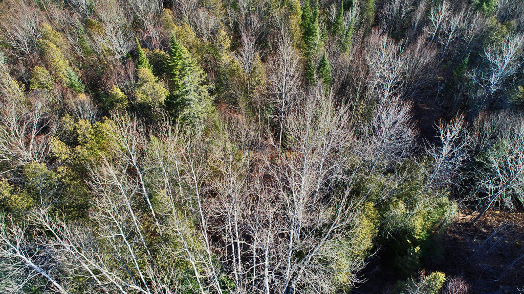 Lot 2-3 Us Rt 2a Road Property Photo 14