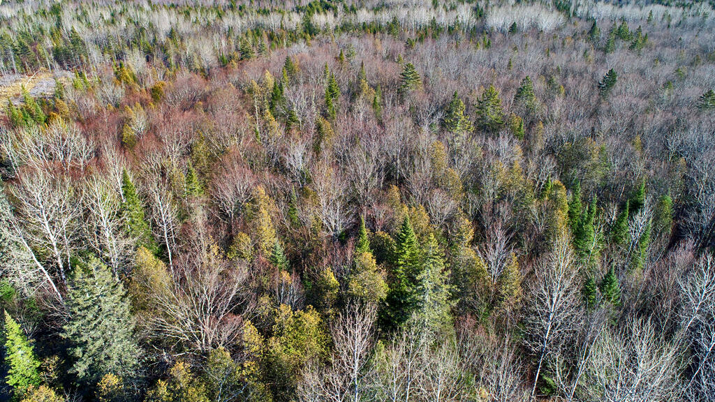 Lot 2-3 Us Rt 2a Road Property Photo 15