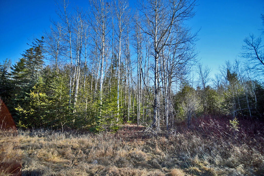Lot 2-3 Us Rt 2a Road Property Photo 16