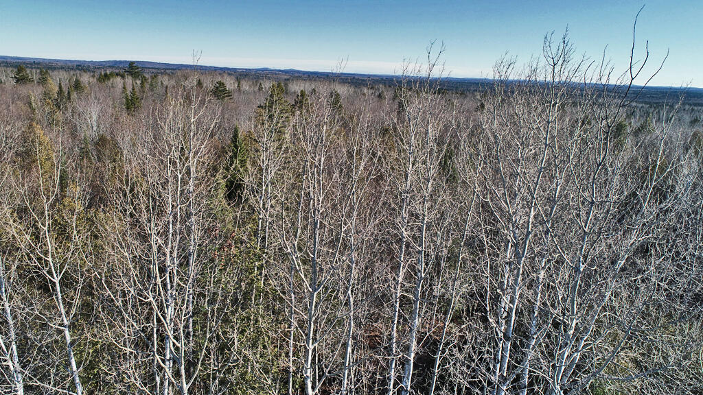 Lot 2-3 Us Rt 2a Road Property Photo 18