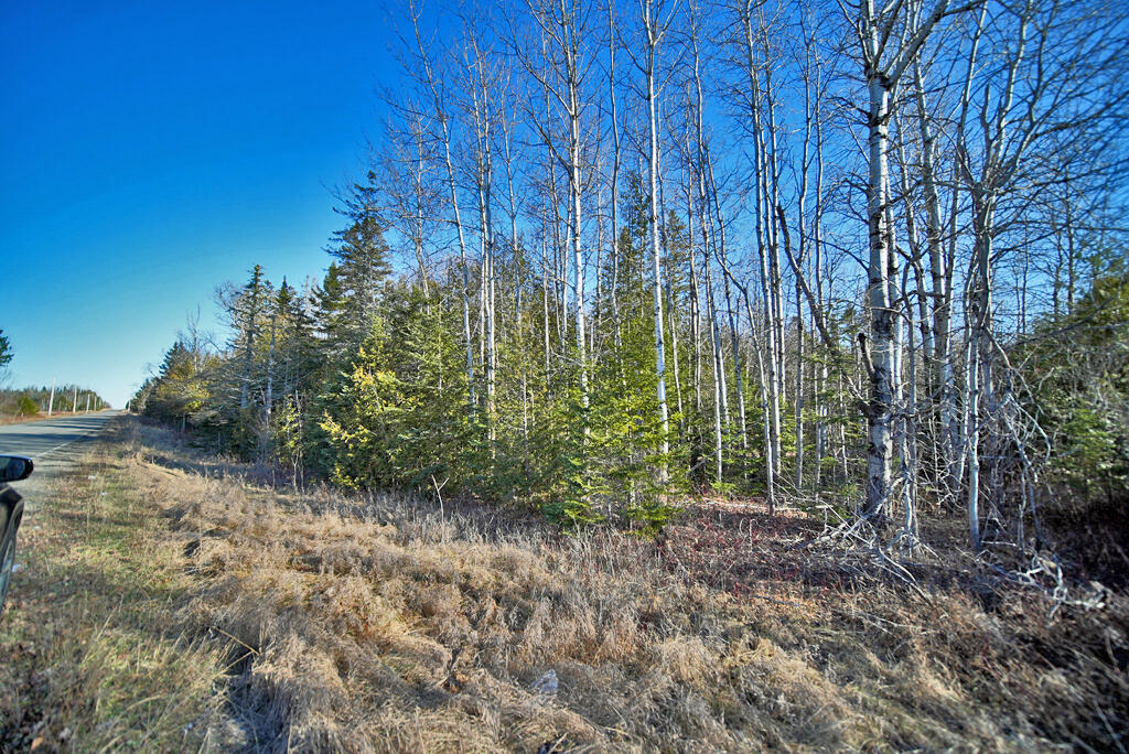 Lot 2-3 Us Rt 2a Road Property Photo 20