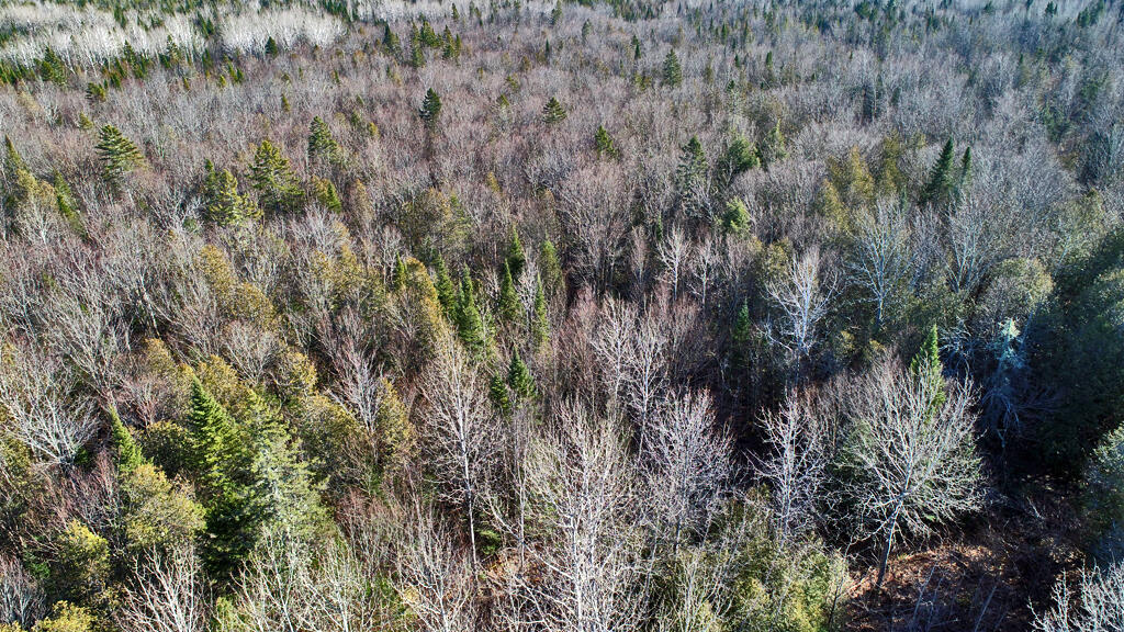 Lot 2-3 Us Rt 2a Road Property Photo 25