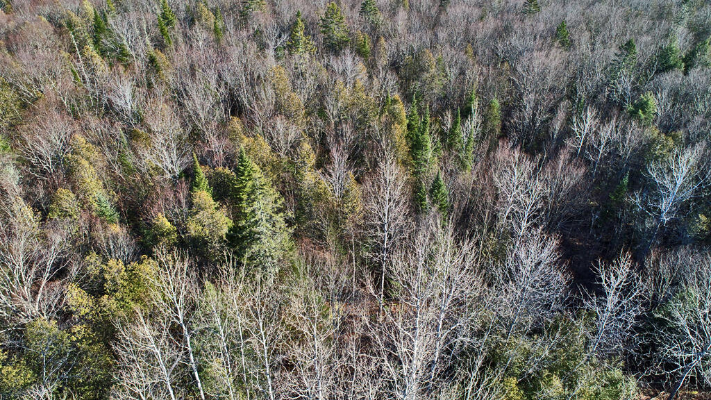 Lot 2-3 Us Rt 2a Road Property Photo 26