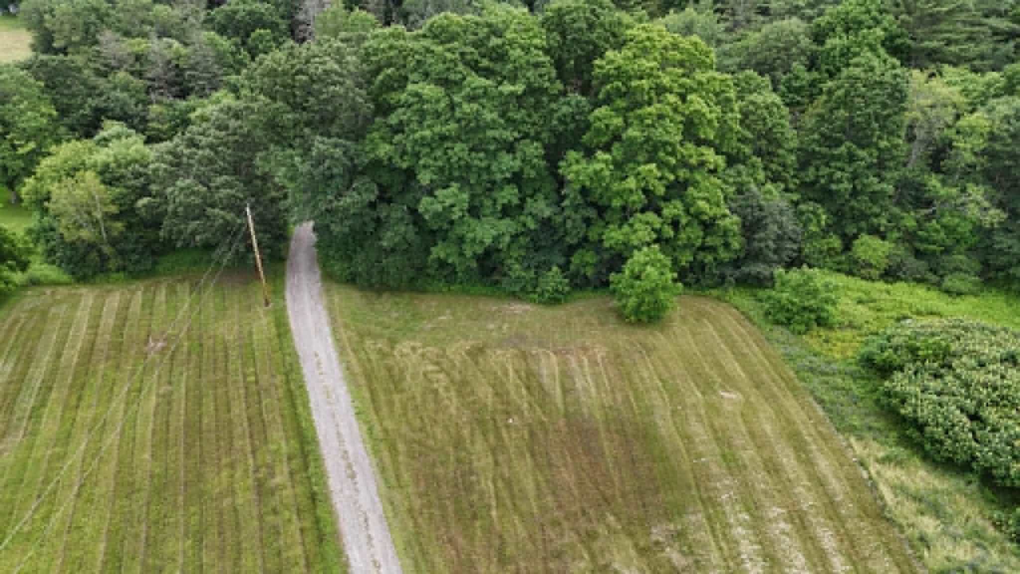 Lot 44 Bangor Road Property Photo 2