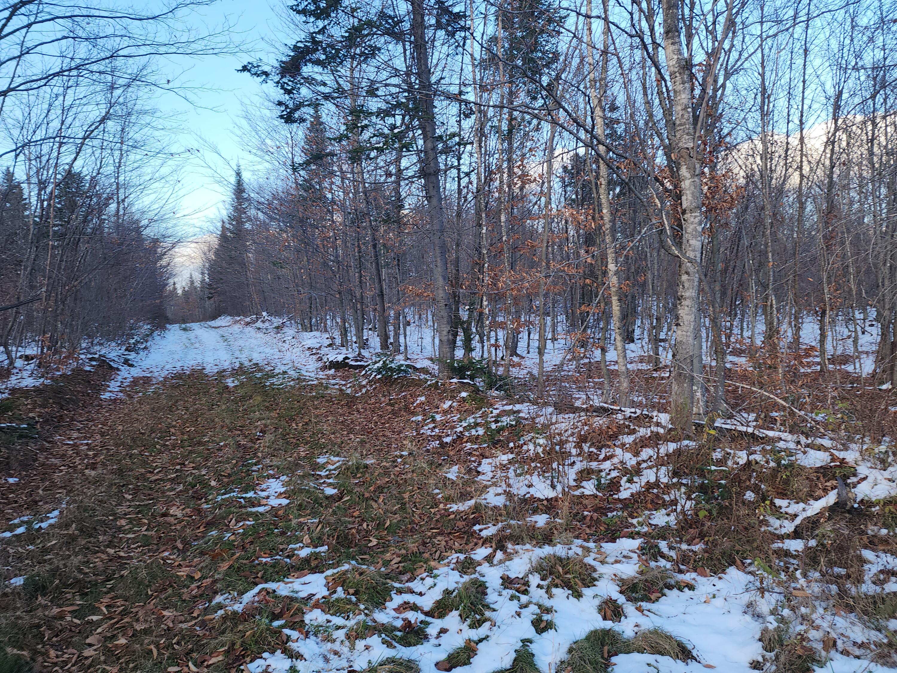 M 19 L 1 Off Teses De Souens Road Property Photo 2