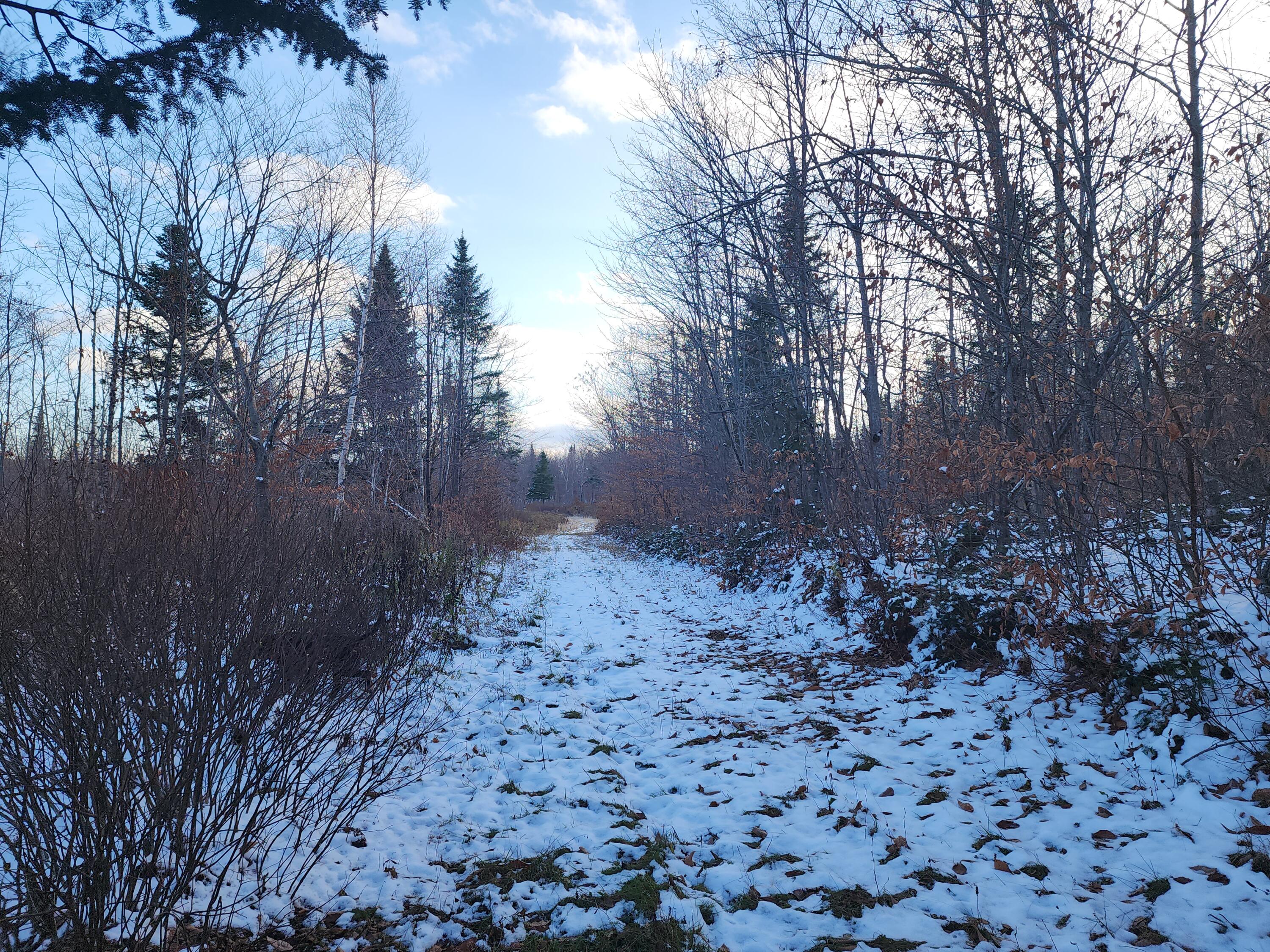 M 19 L 1 Off Teses De Souens Road Property Photo 3