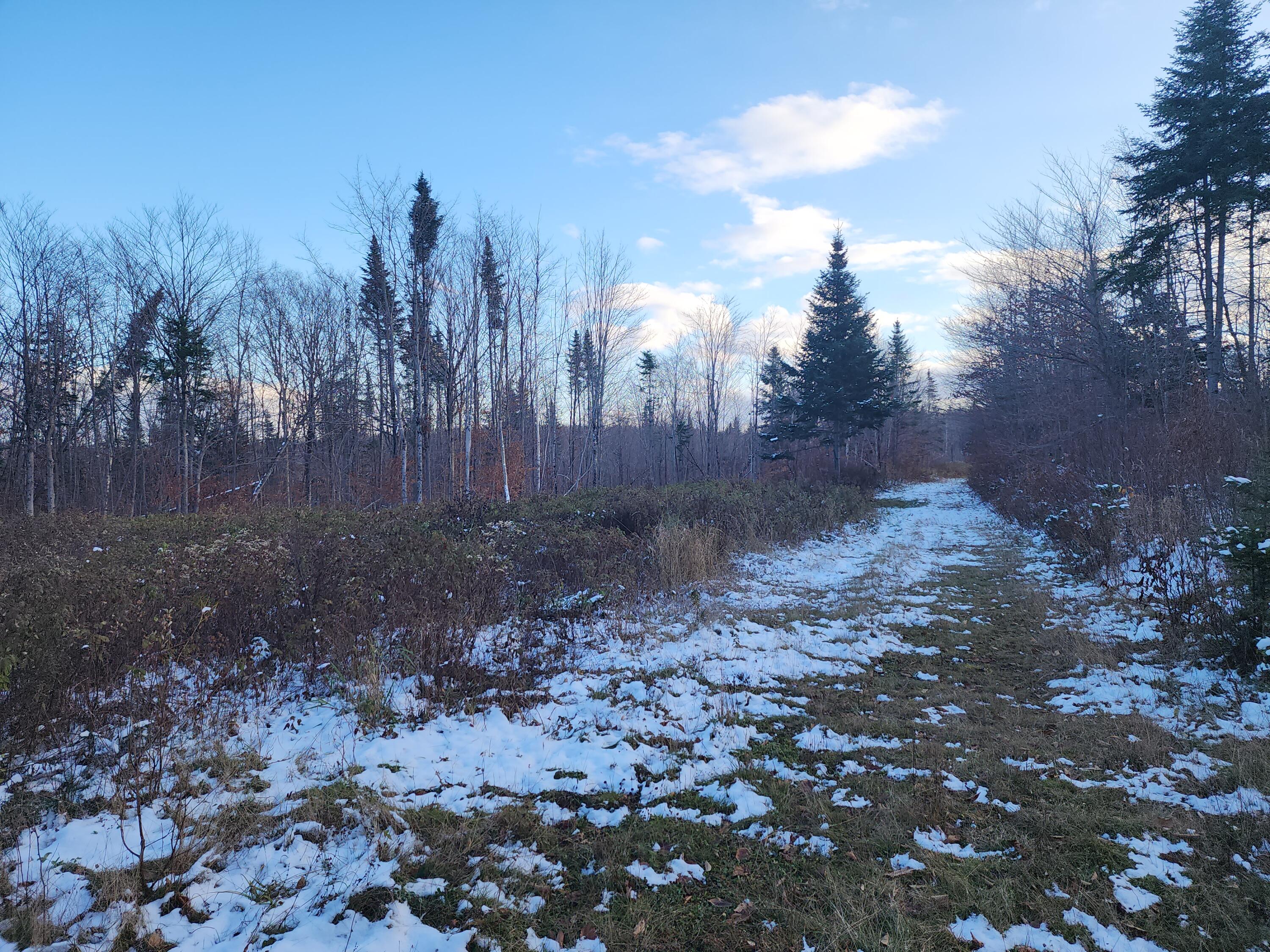 M 19 L 1 Off Teses De Souens Road Property Photo 4