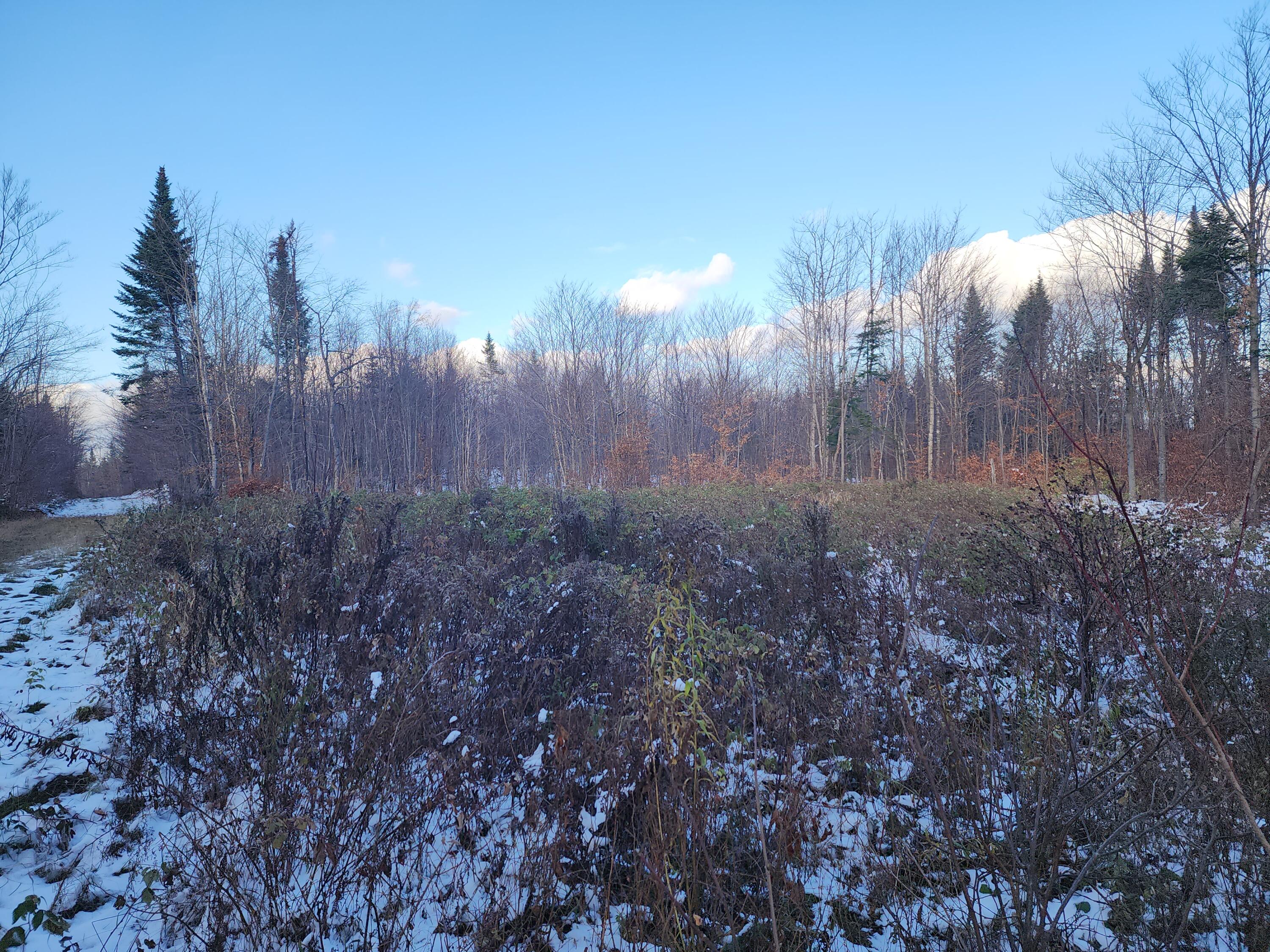 M 19 L 1 Off Teses De Souens Road Property Photo 6