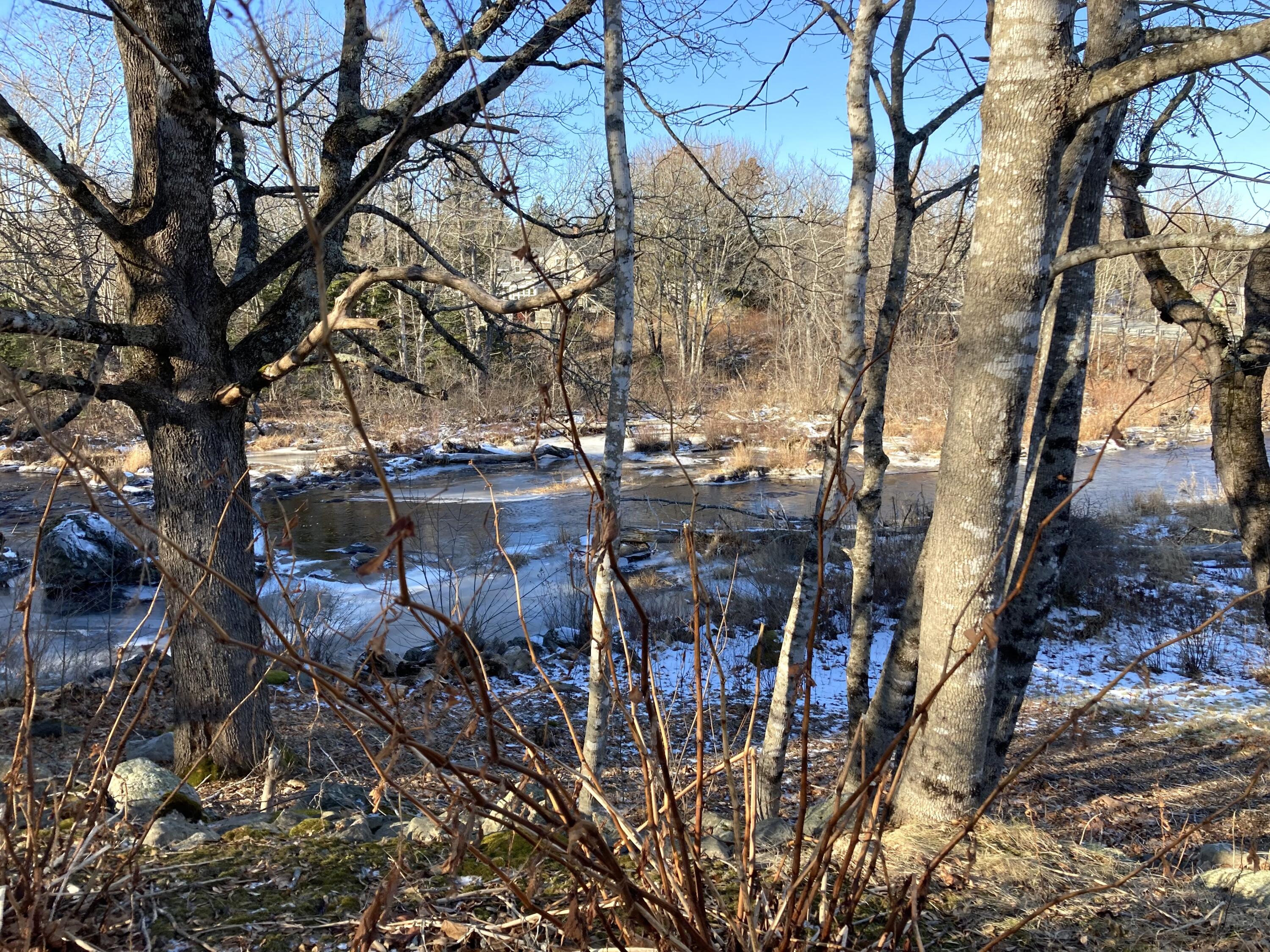 3 Rogers Point Property Photo 26