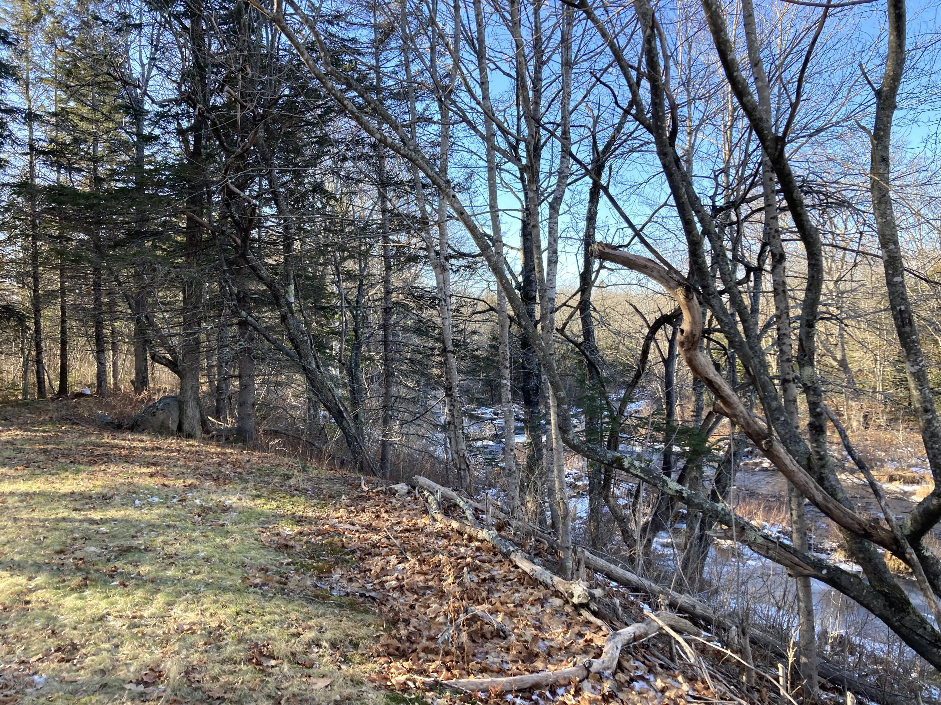 3 Rogers Point Property Photo 27