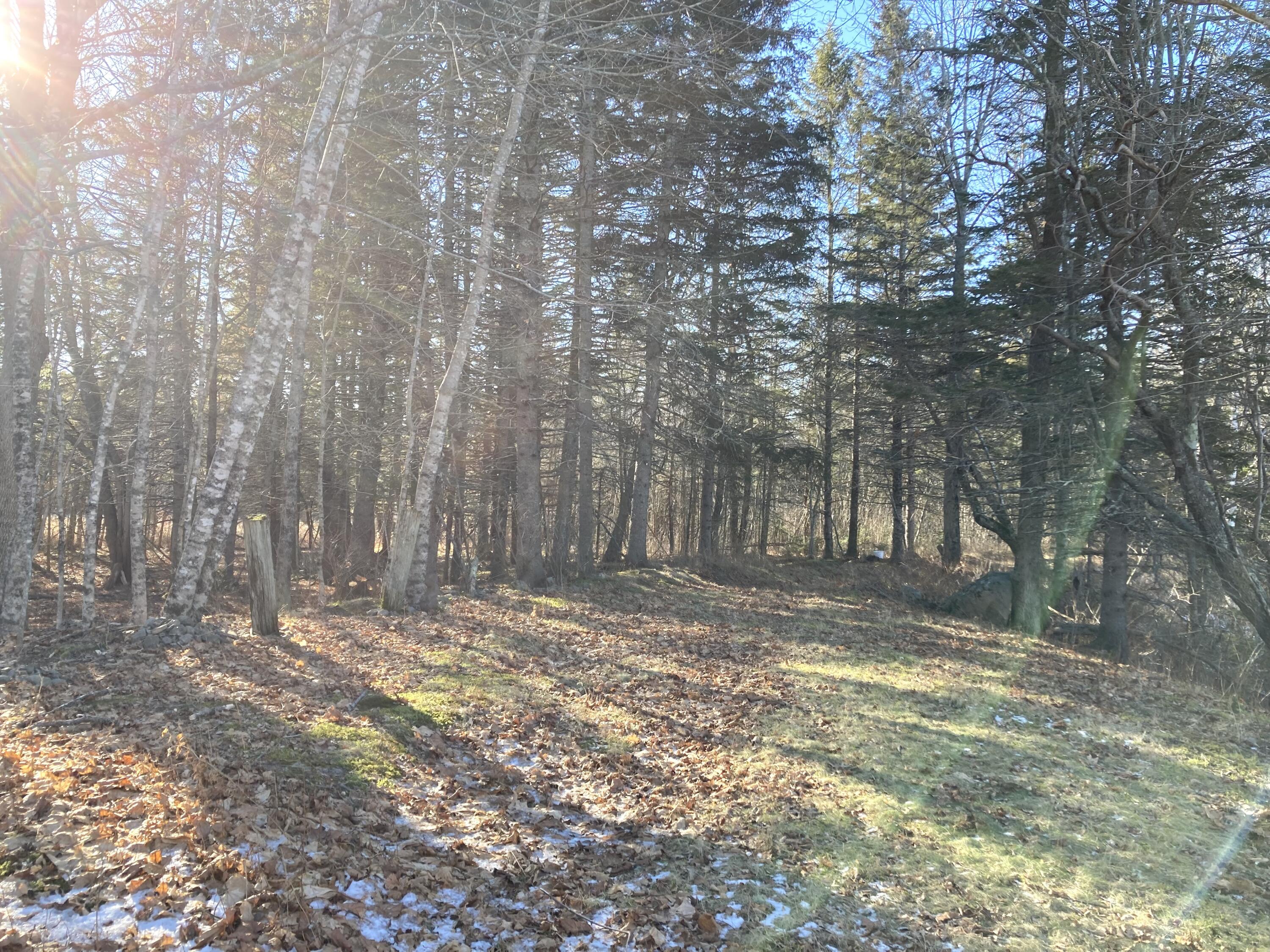 3 Rogers Point Property Photo 28