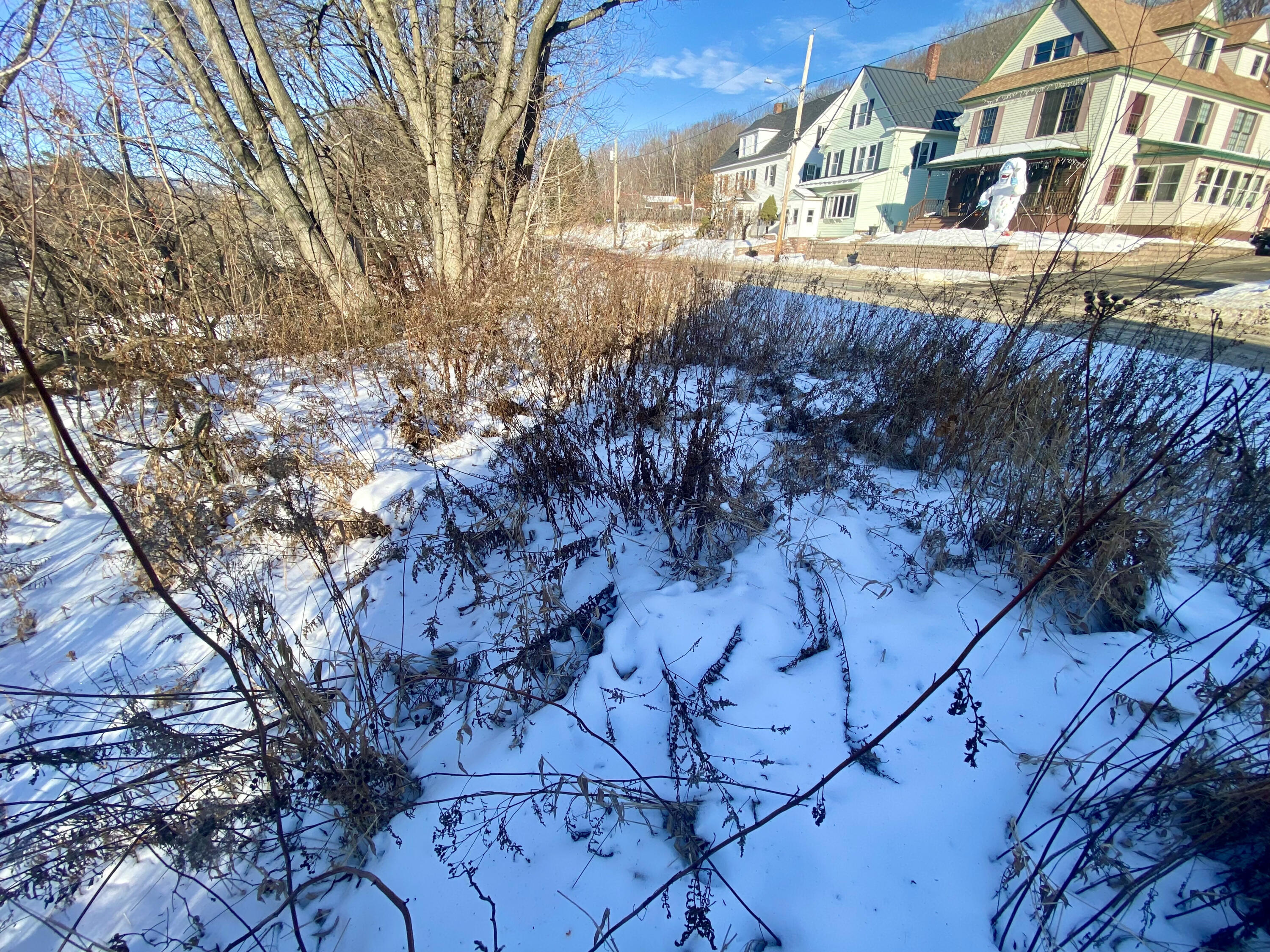 108 Granite Street Property Photo 5