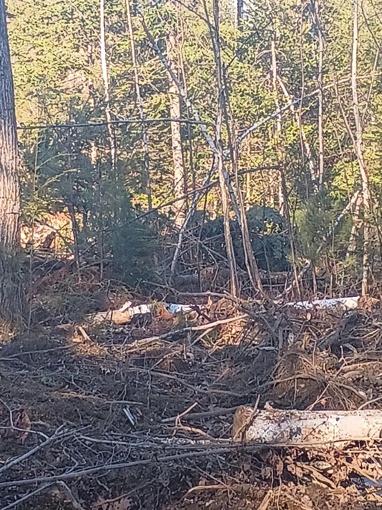 848 Old Stage Road Property Photo 3
