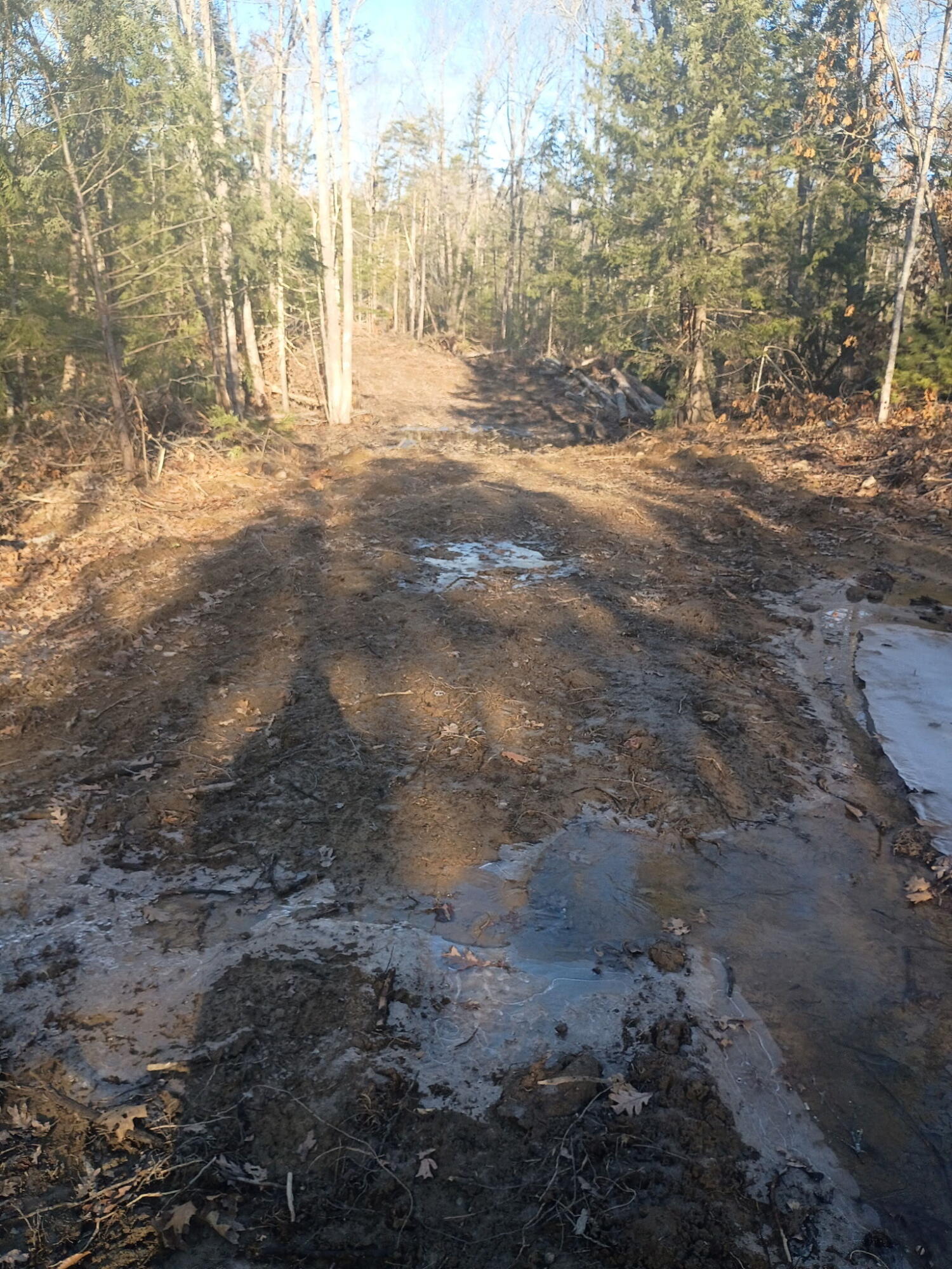 848 Old Stage Road Property Photo 4