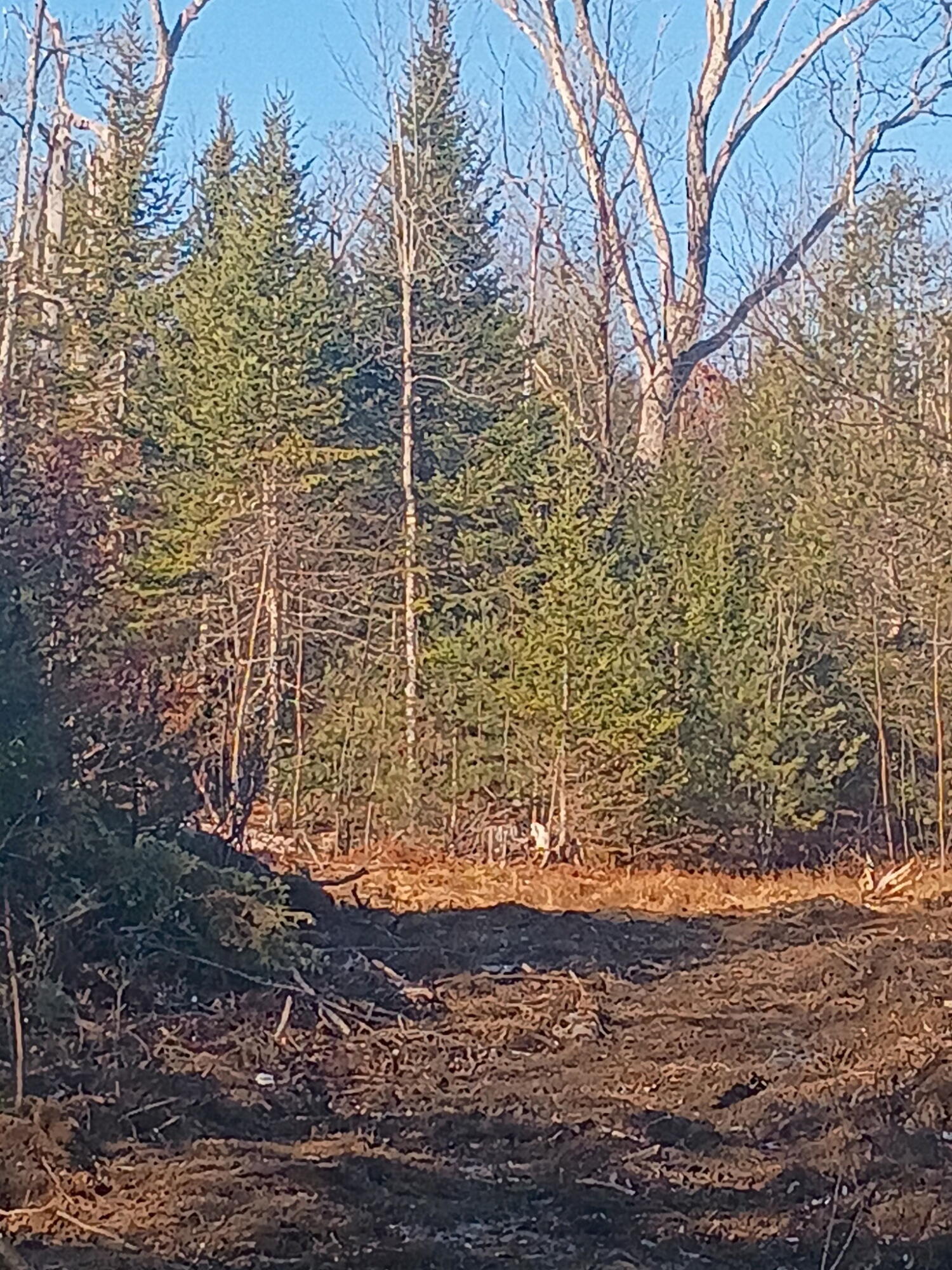 848 Old Stage Road Property Photo 5