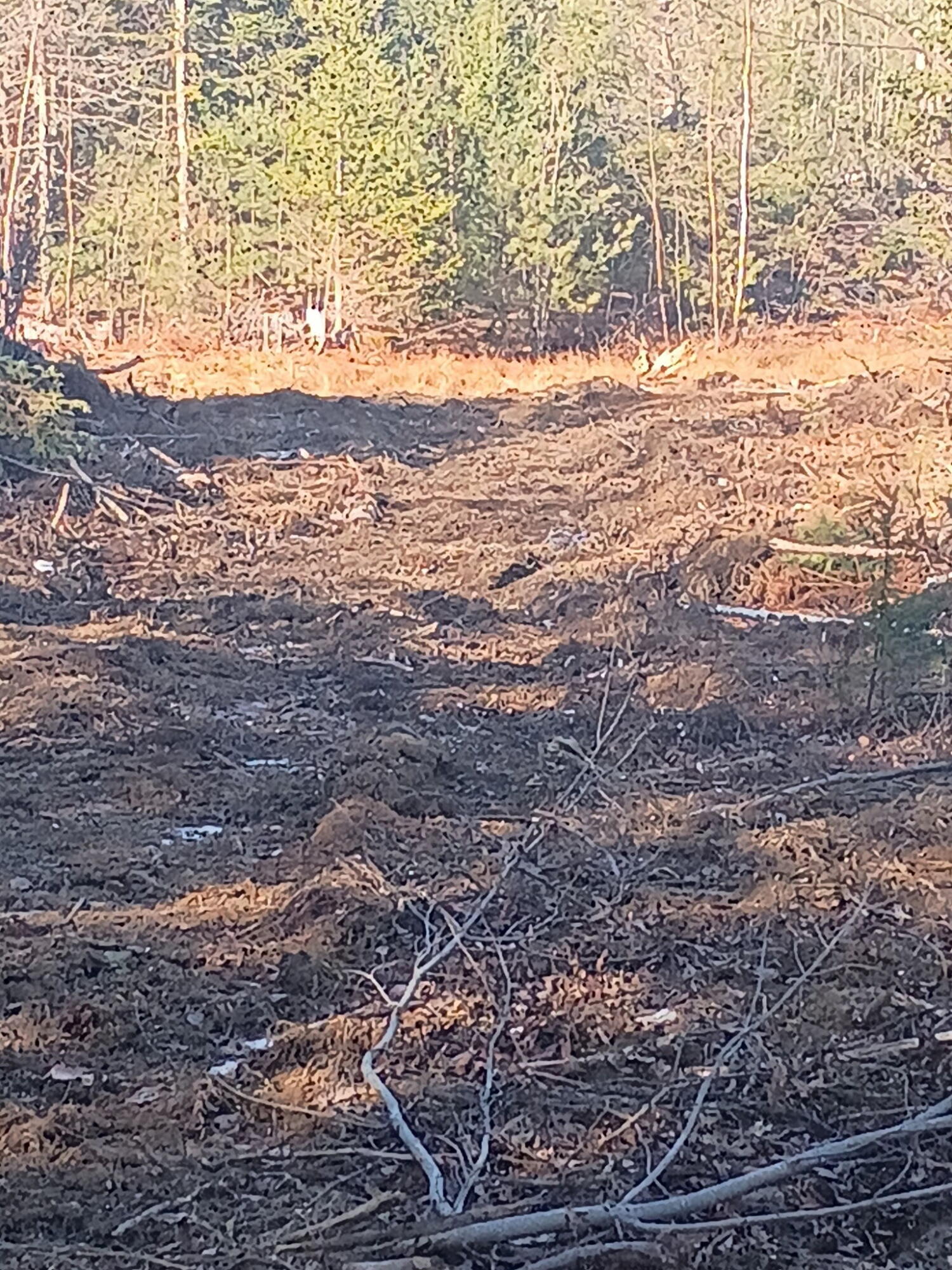 848 Old Stage Road Property Photo 6