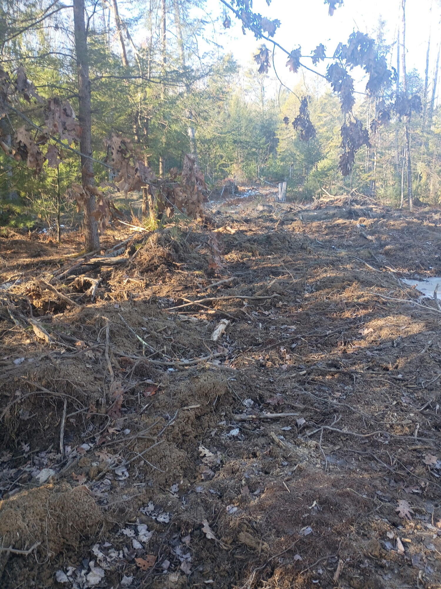 848 Old Stage Road Property Photo 8
