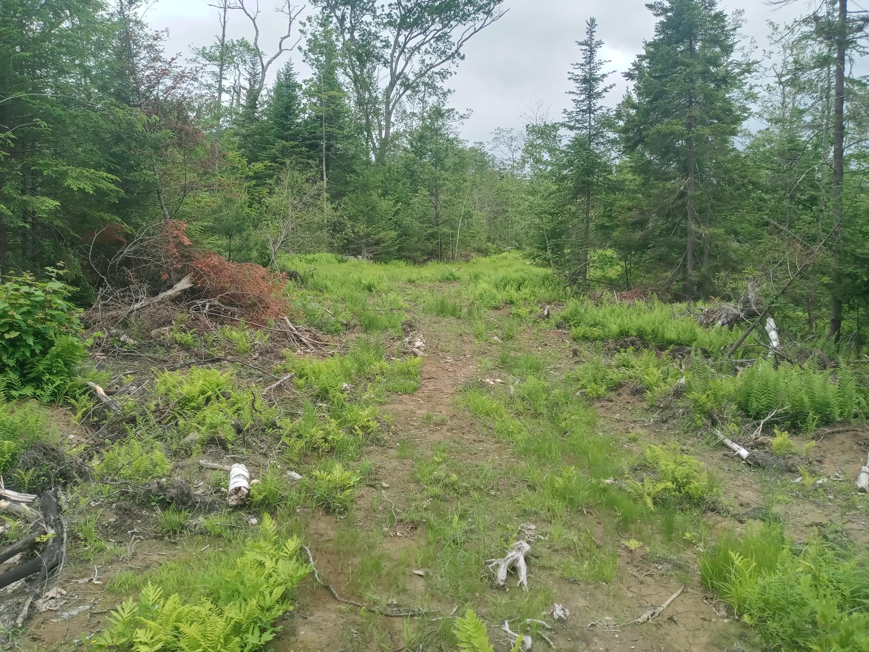 848 Old Stage Road Property Photo 9