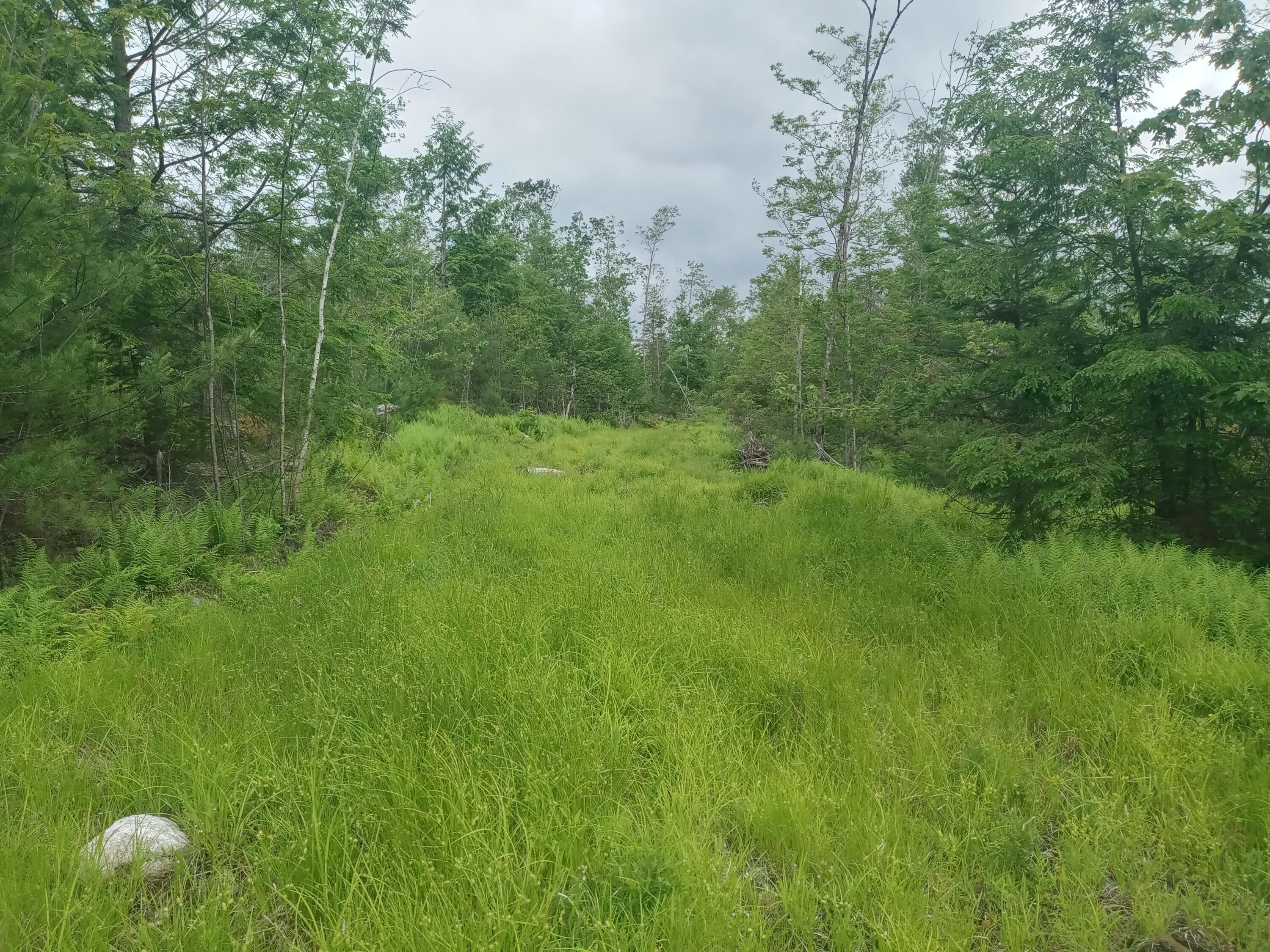 848 Old Stage Road Property Photo 11
