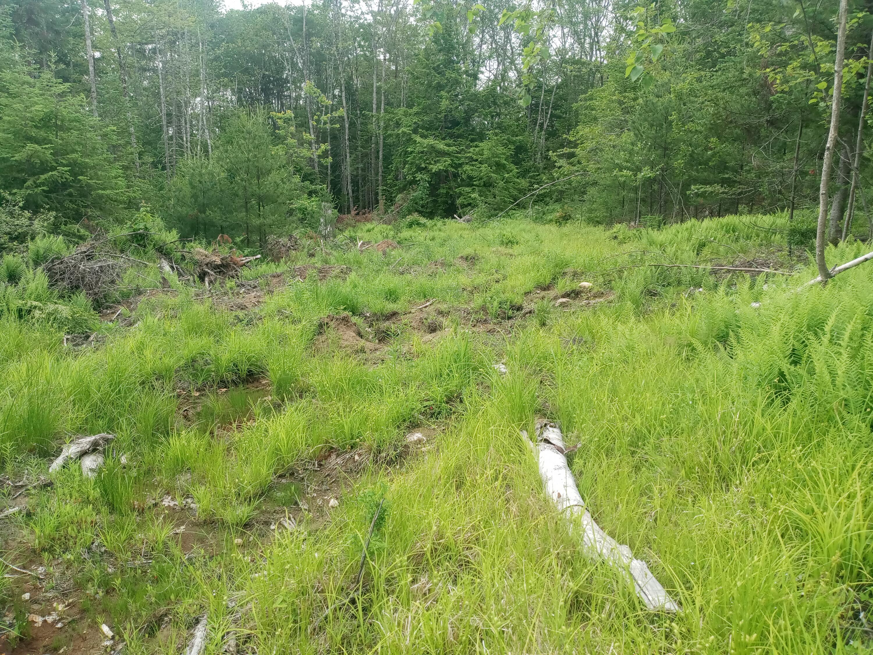 848 Old Stage Road Property Photo 12