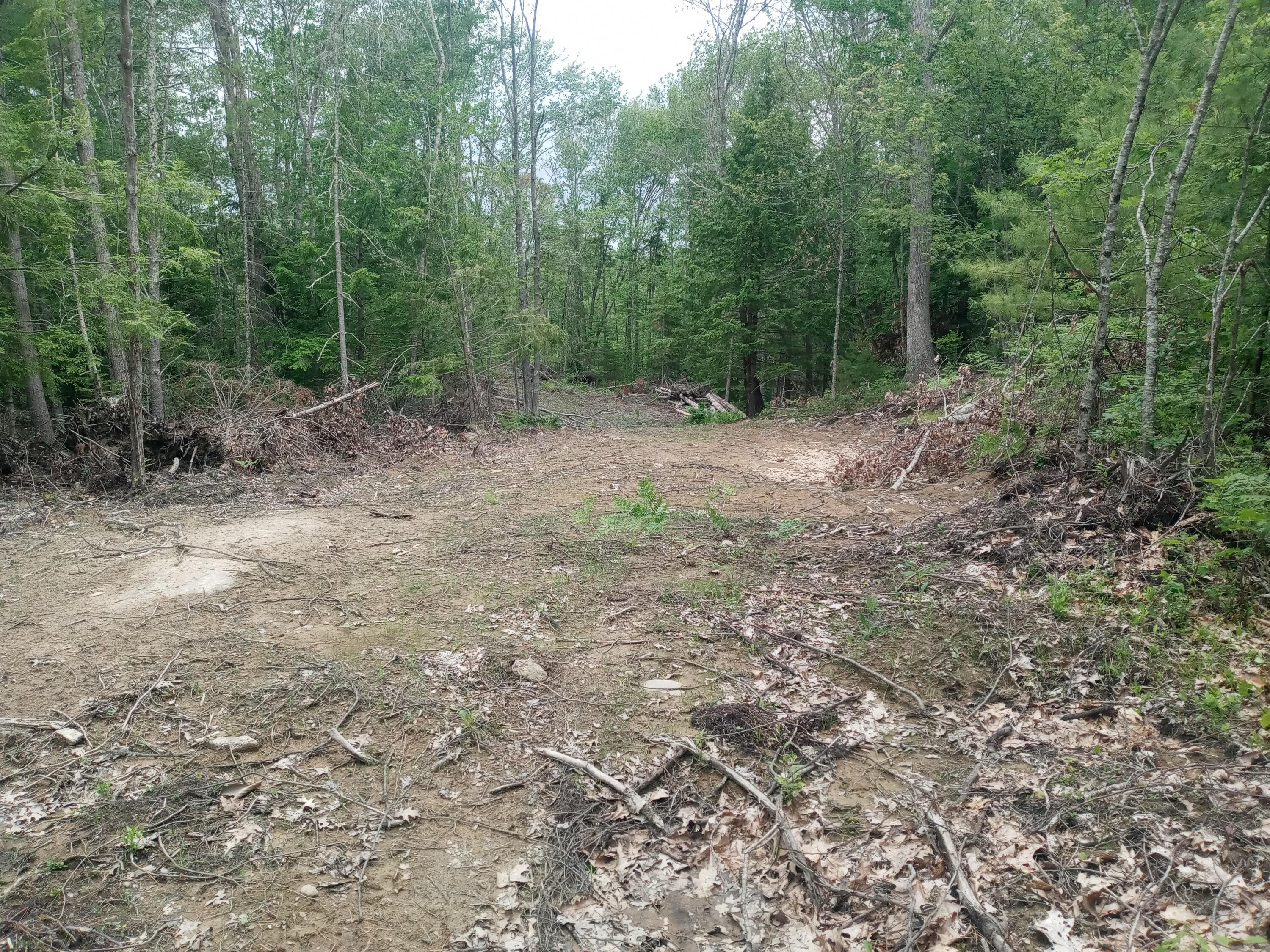 848 Old Stage Road Property Photo 14