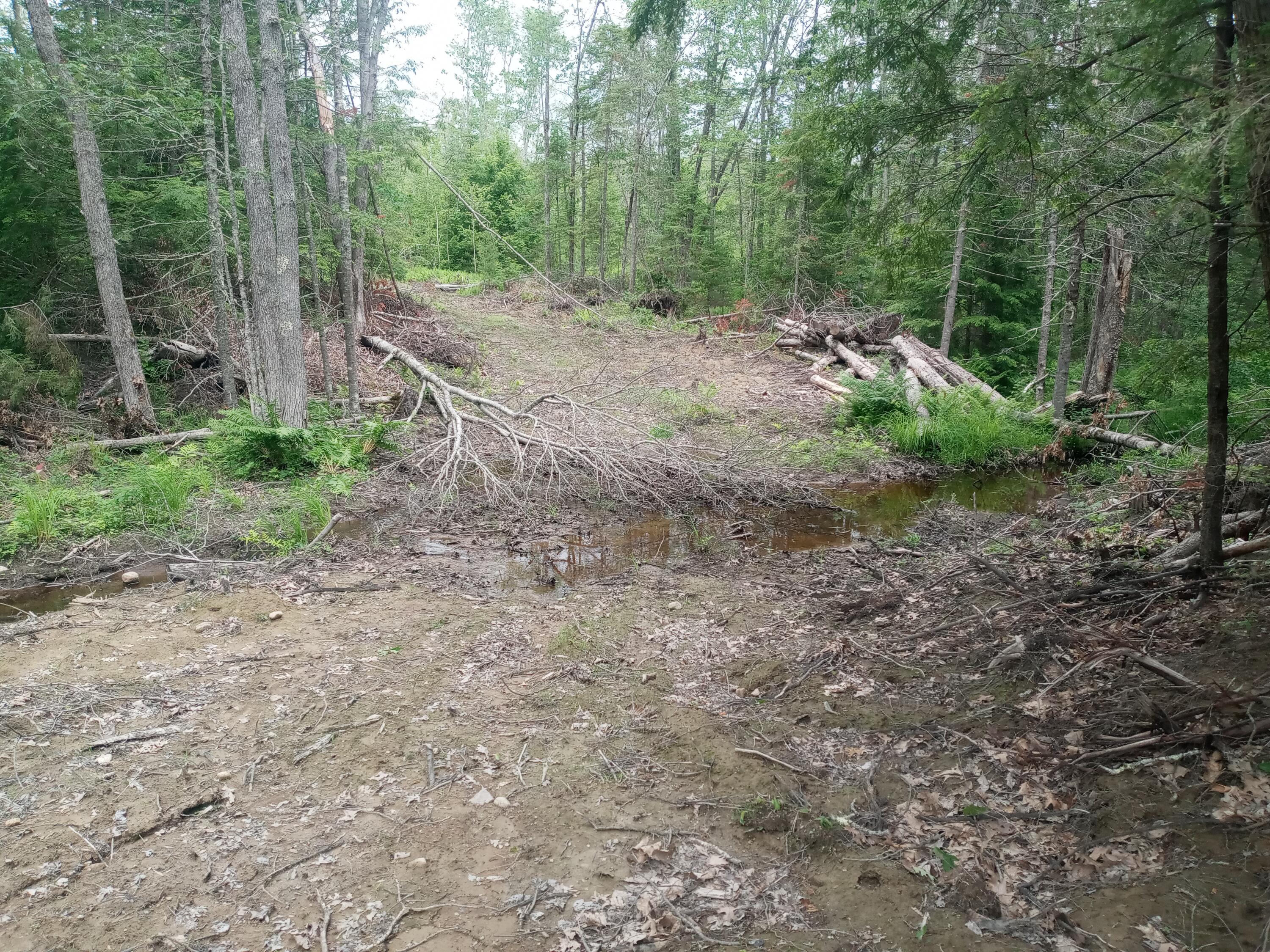 848 Old Stage Road Property Photo 15