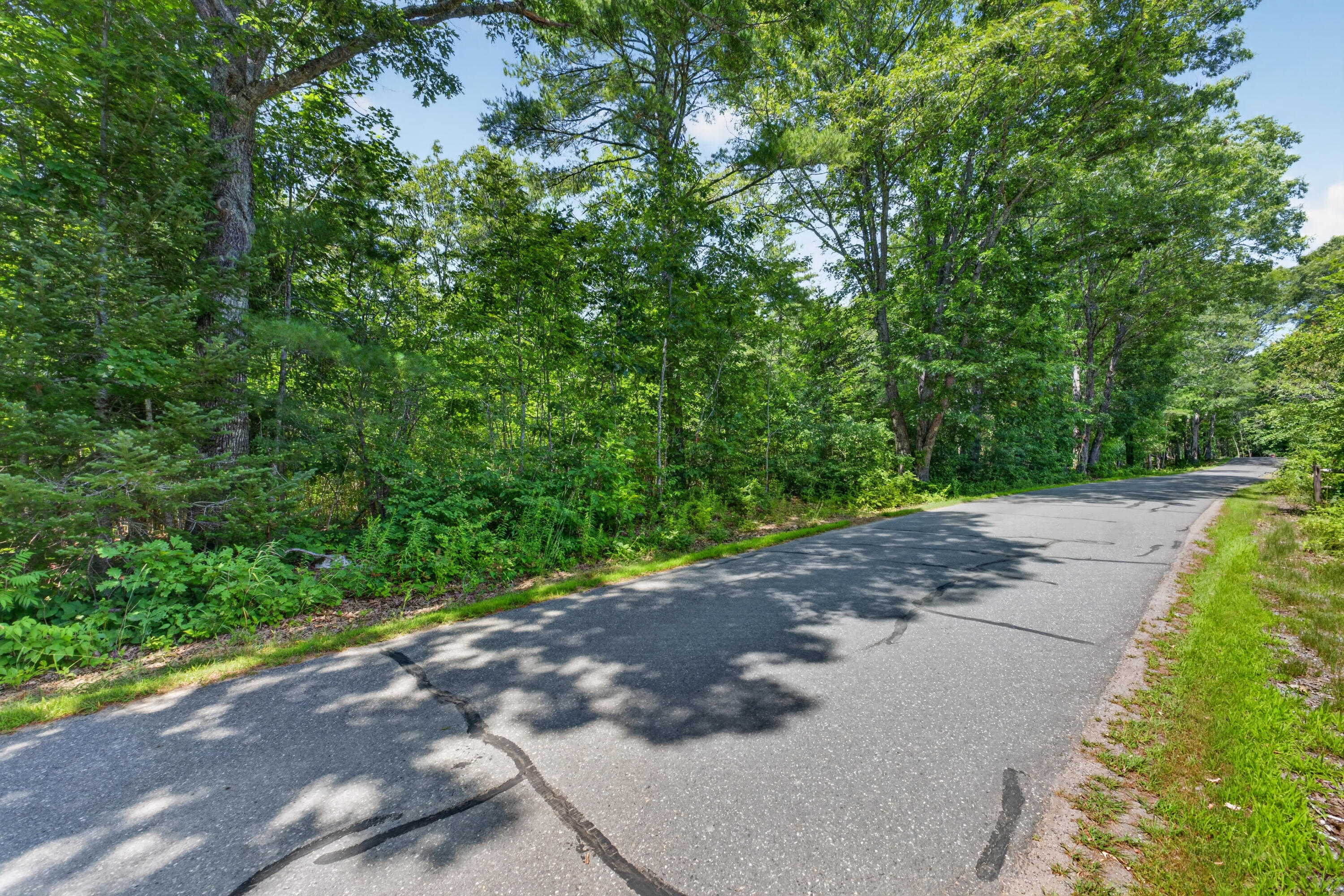 Lot #4 Lewis Hill Road Property Photo 3