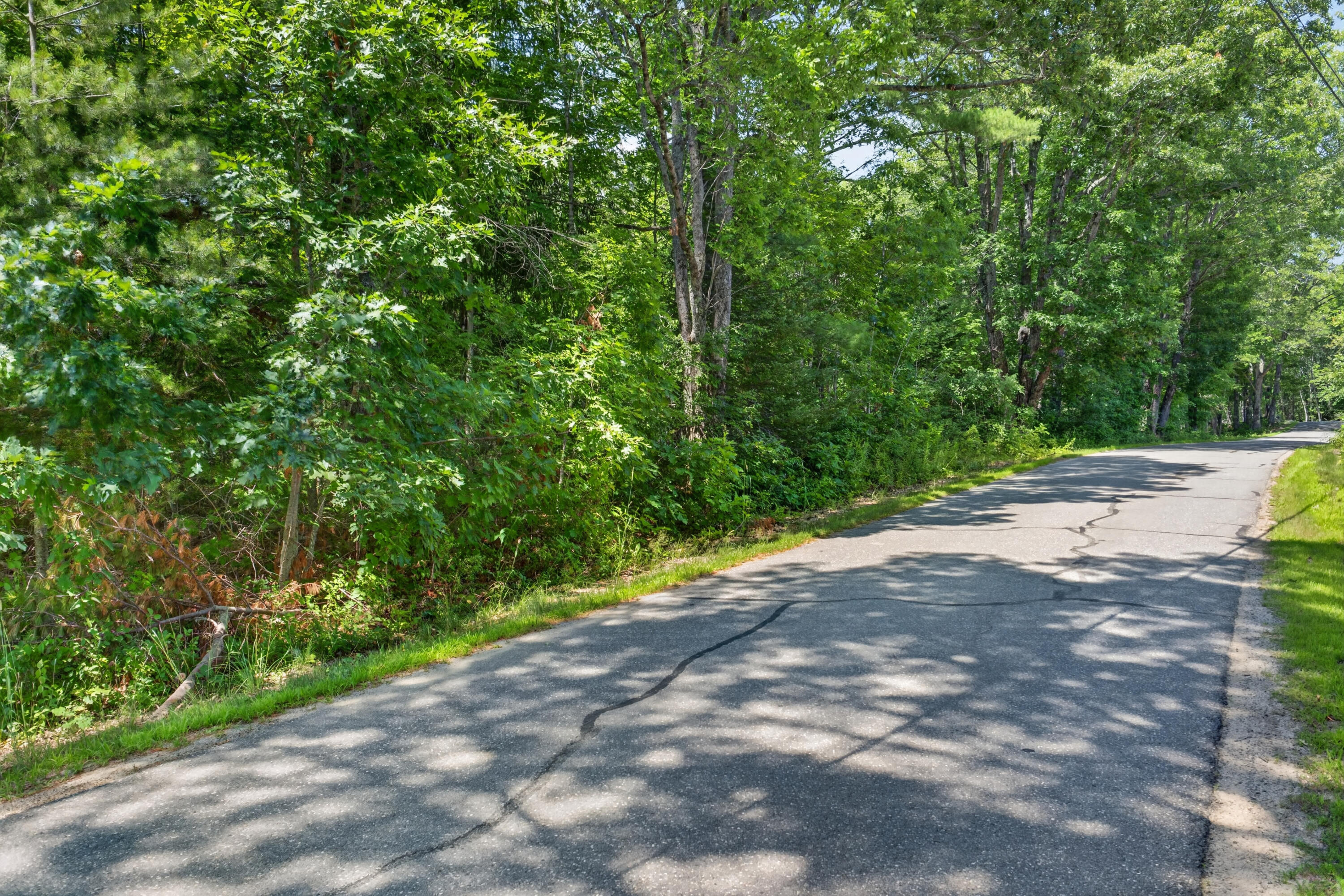 Lot #4 Lewis Hill Road Property Photo 5