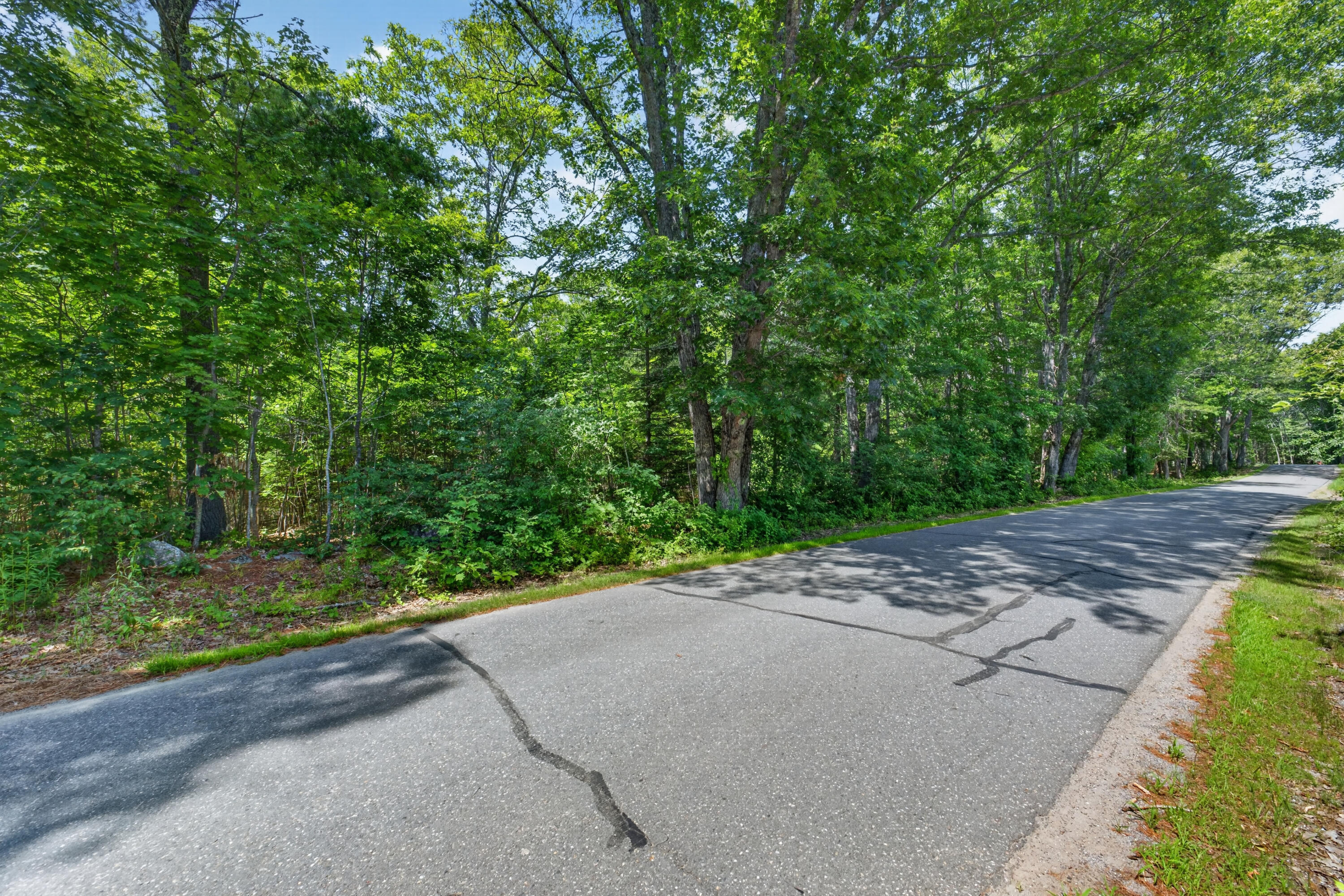 Lot #4 Lewis Hill Road Property Photo 6