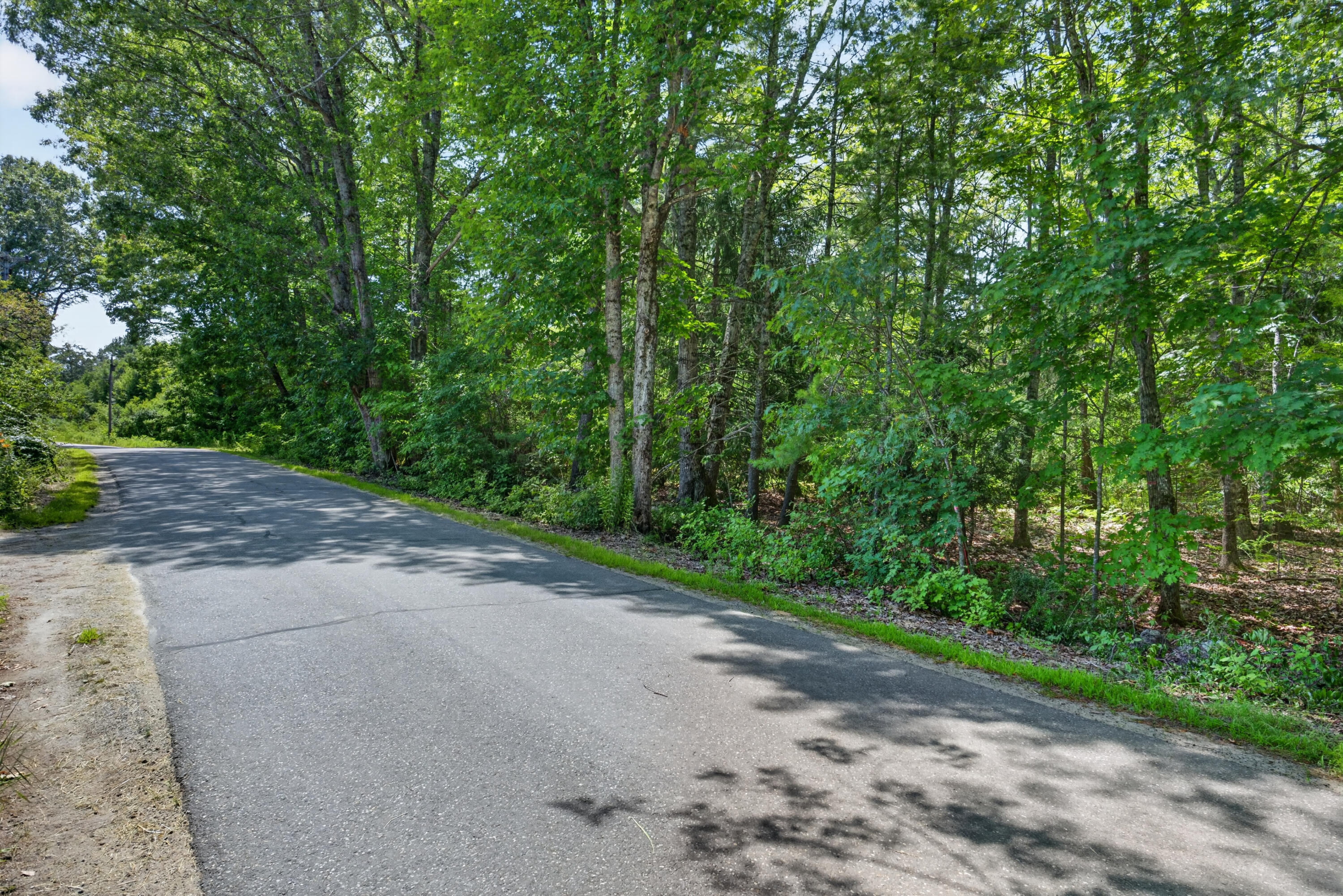 Lot #4 Lewis Hill Road Property Photo 7