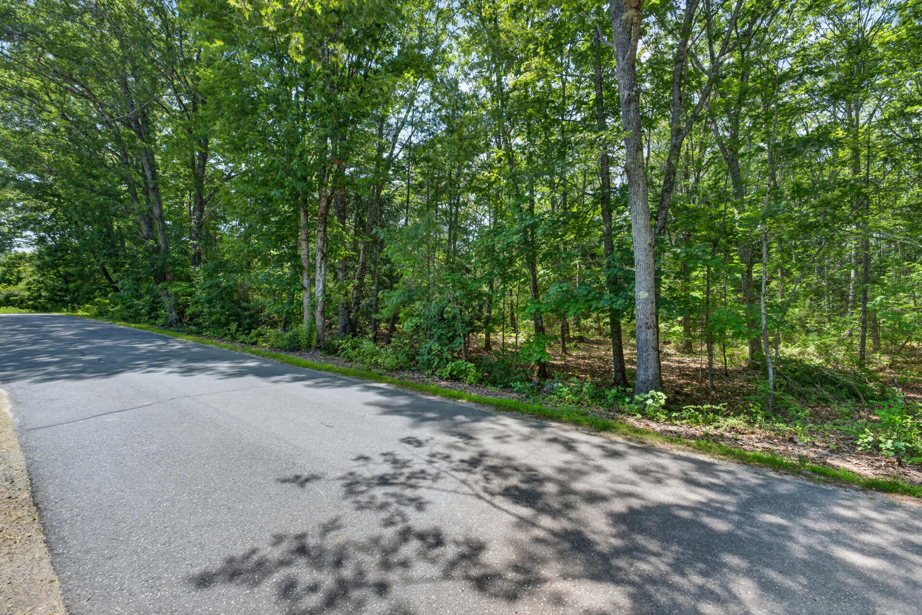Lot #4 Lewis Hill Road Property Photo 8