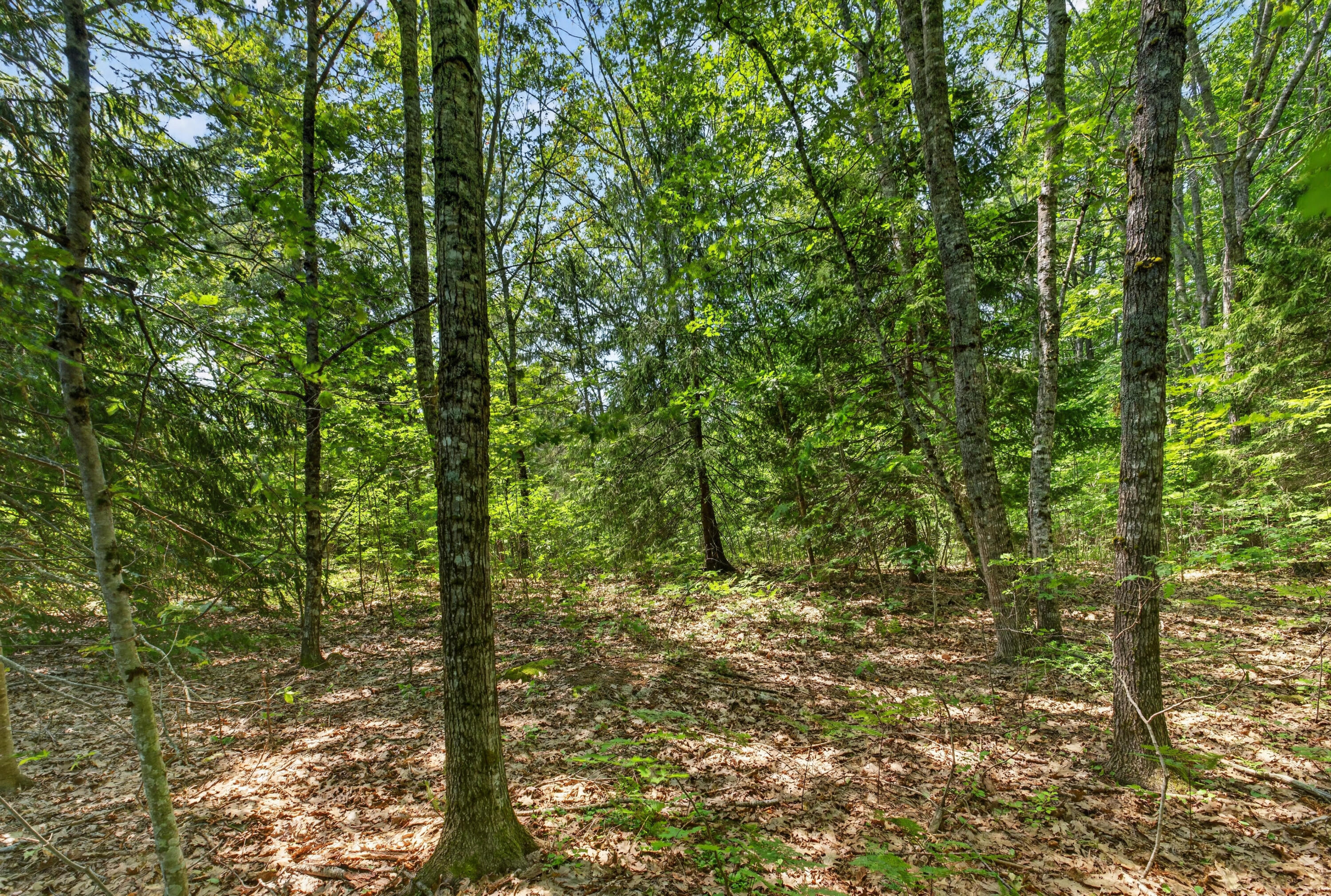 Lot #4 Lewis Hill Road Property Photo 9