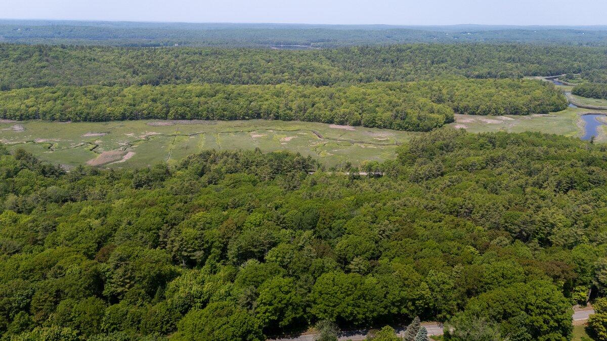 Lot #4 Lewis Hill Road Property Photo 13