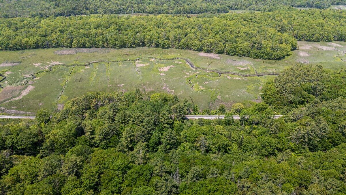 Lot #4 Lewis Hill Road Property Photo 14