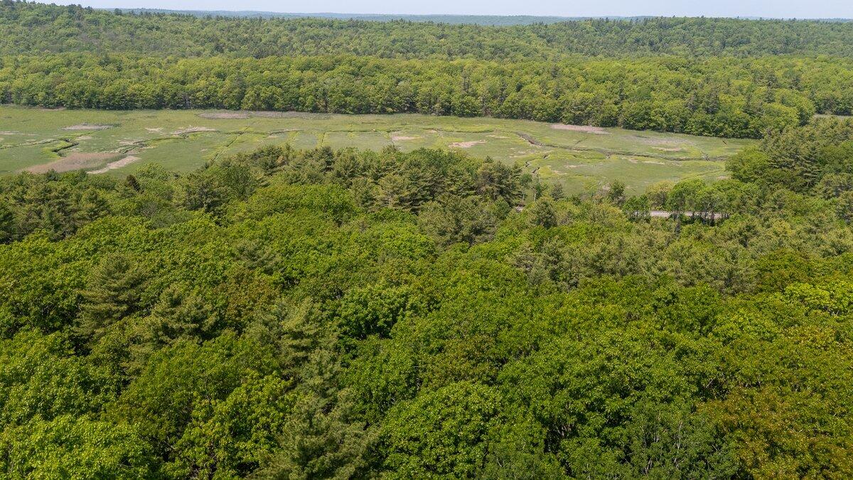 Lot #4 Lewis Hill Road Property Photo 15