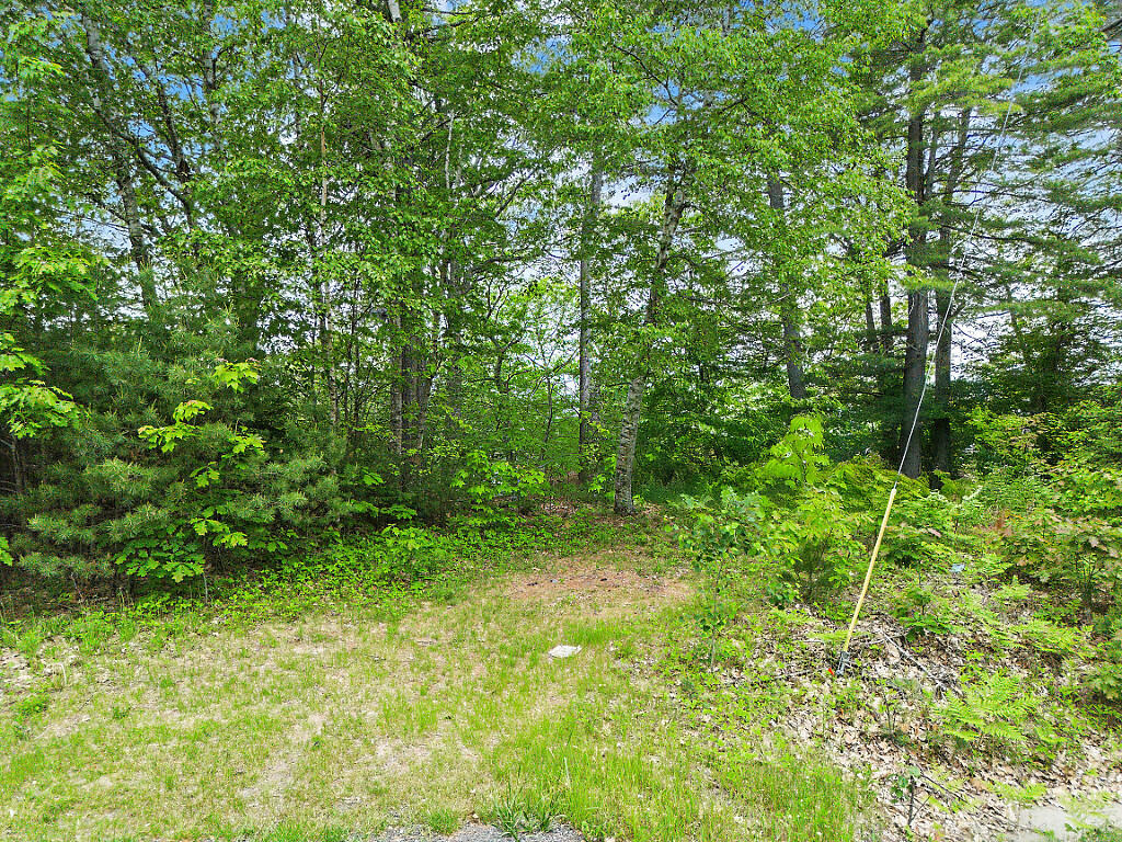 915 Augusta Road Property Photo 12