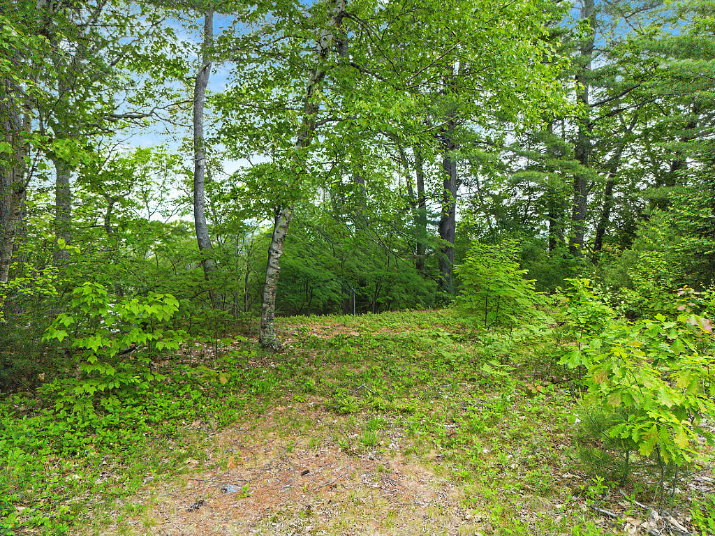 915 Augusta Road Property Photo 20