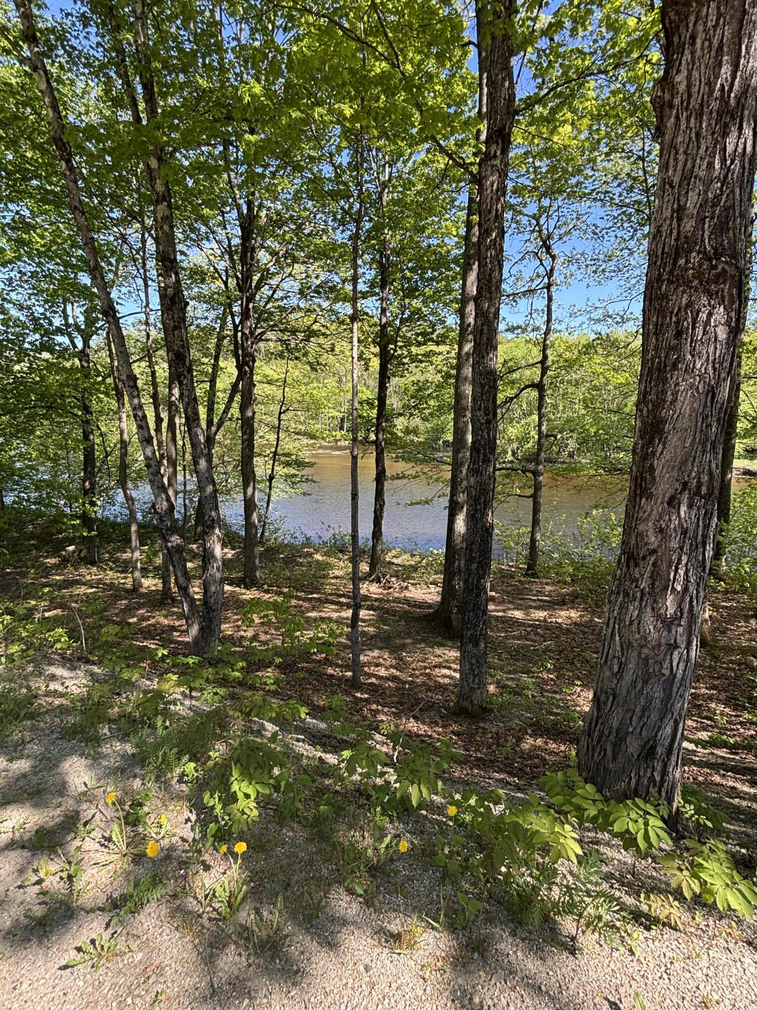 1686 North Road Property Photo 61