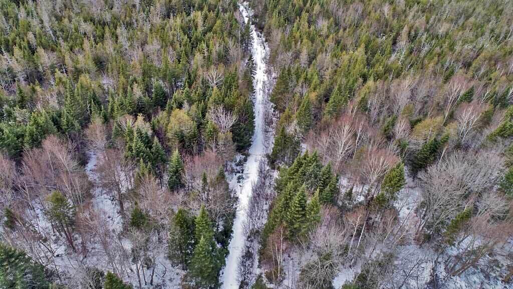 Lot 10a Fire Road Property Photo 2